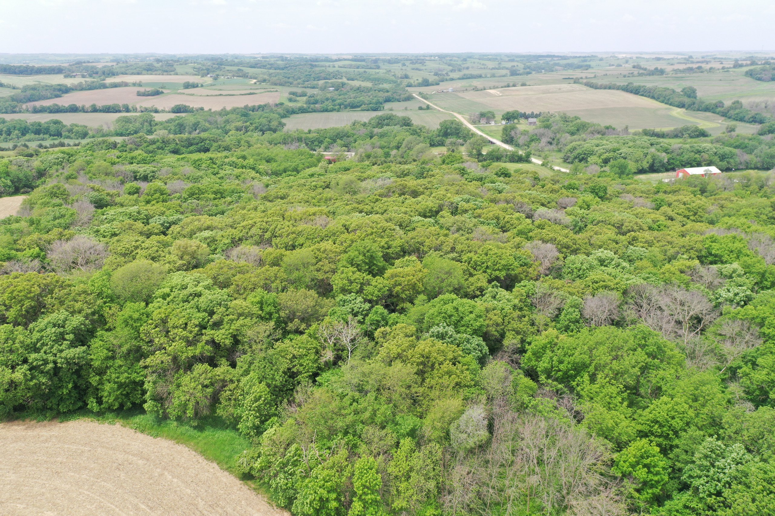 Guthrie County, Iowa Land Available