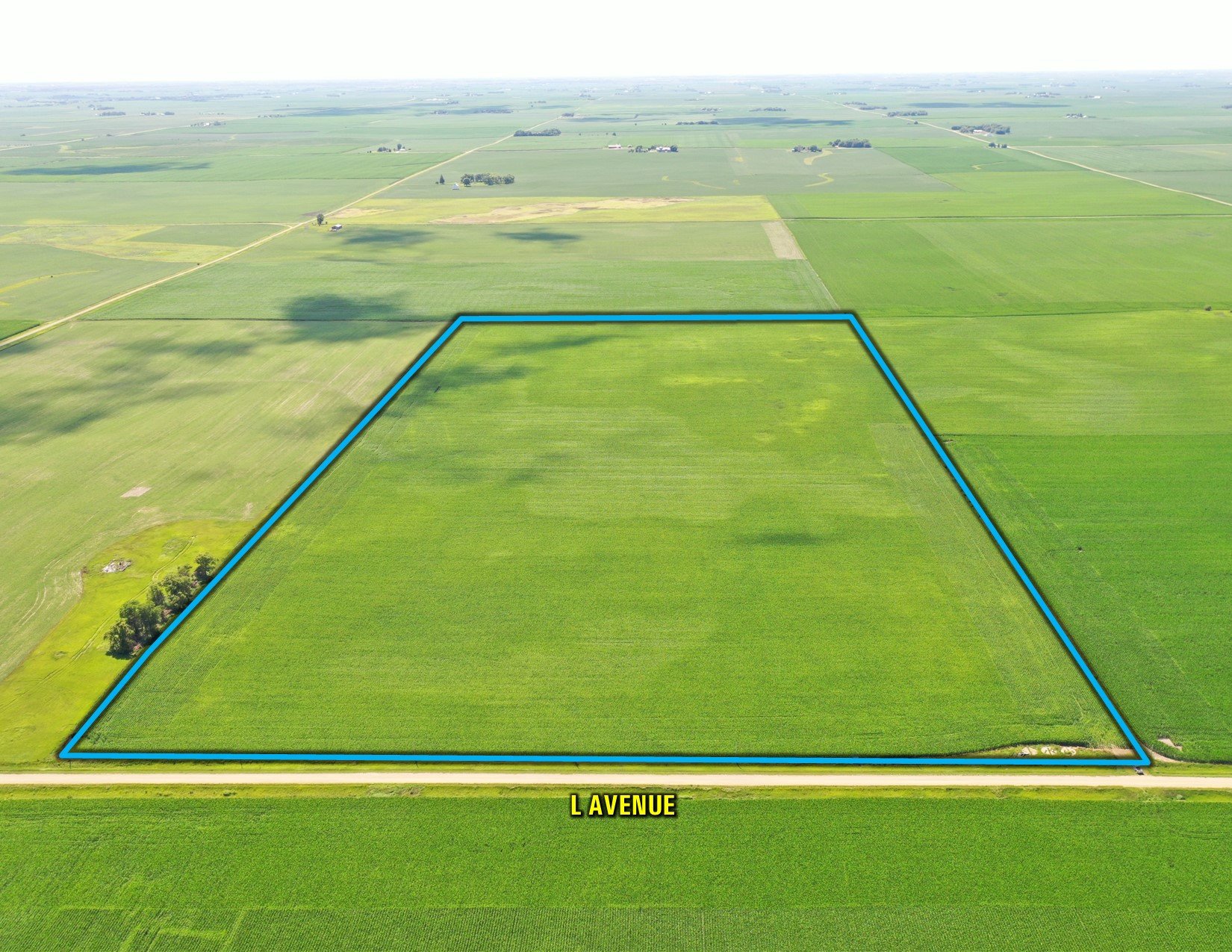 Greene County, Iowa Land For Sale