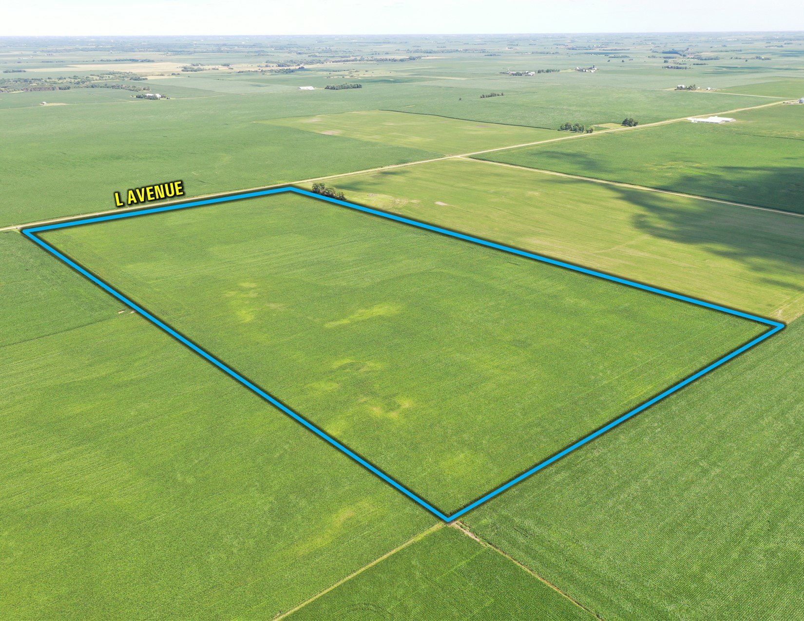 Greene County, Iowa Land For Sale