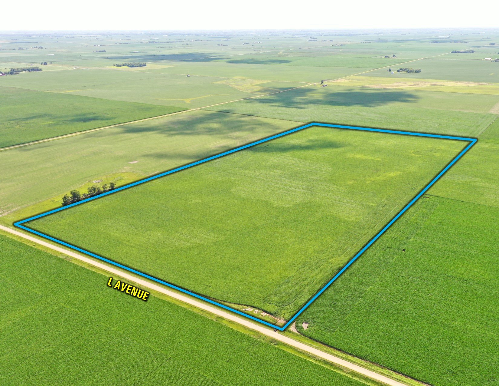 Greene County, Iowa Land For Sale