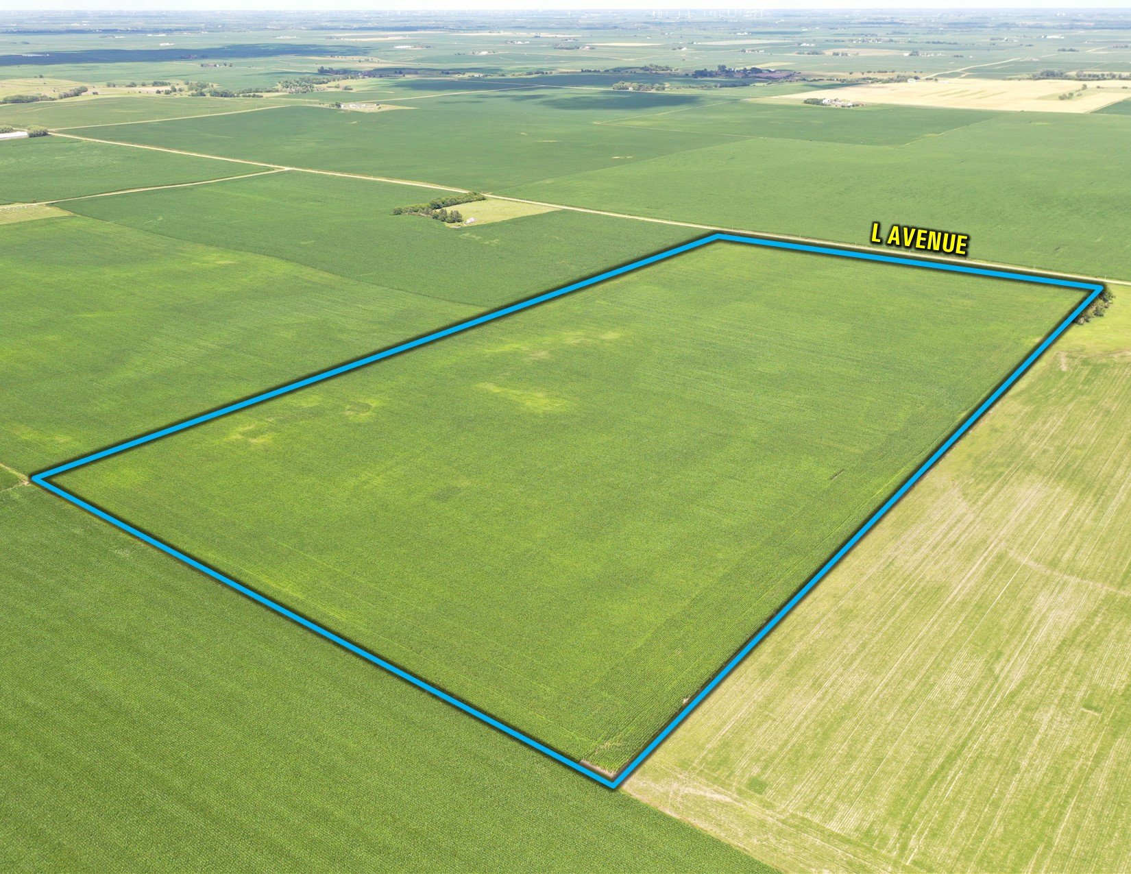 Greene County, Iowa Land For Sale