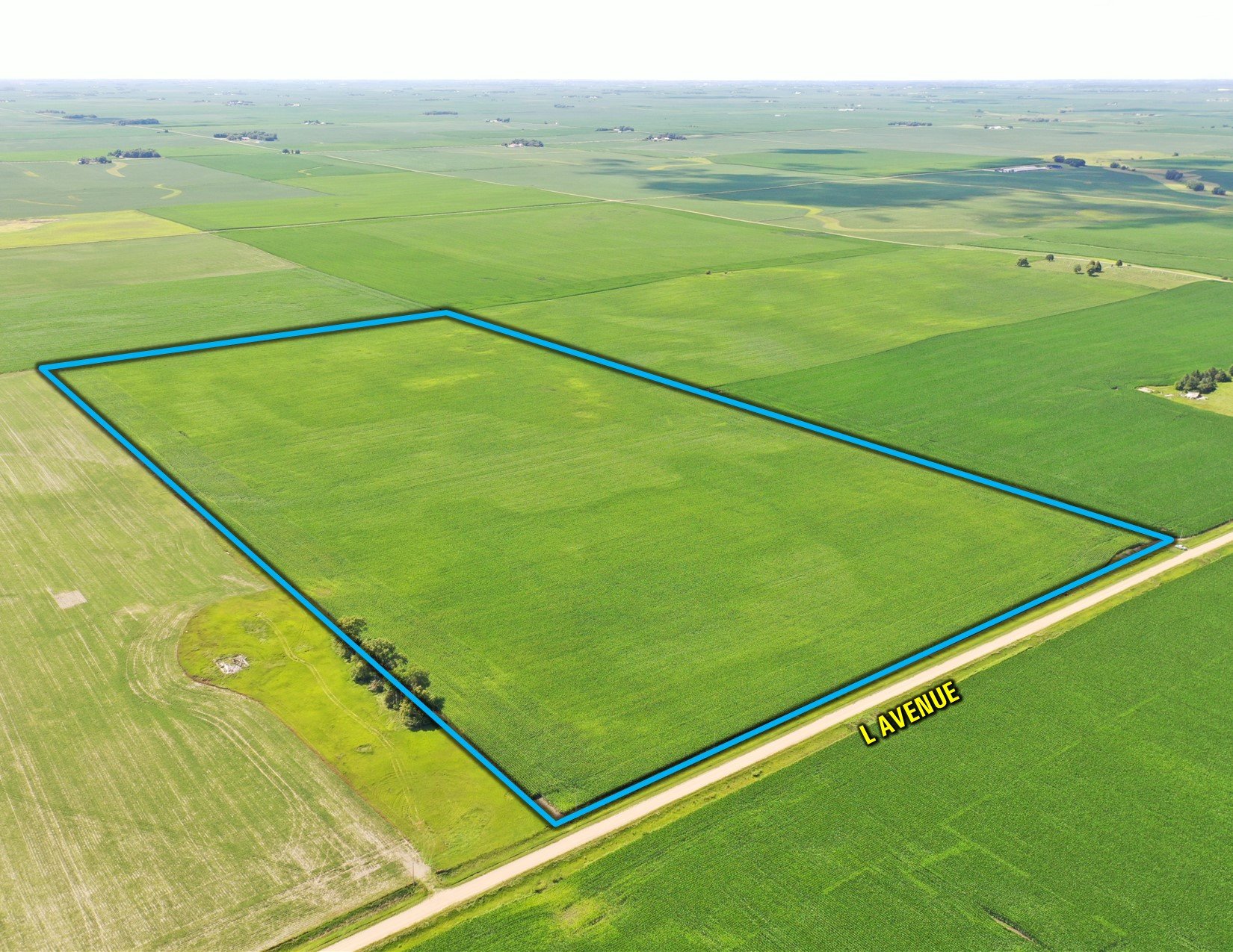 Greene County, Iowa Land For Sale