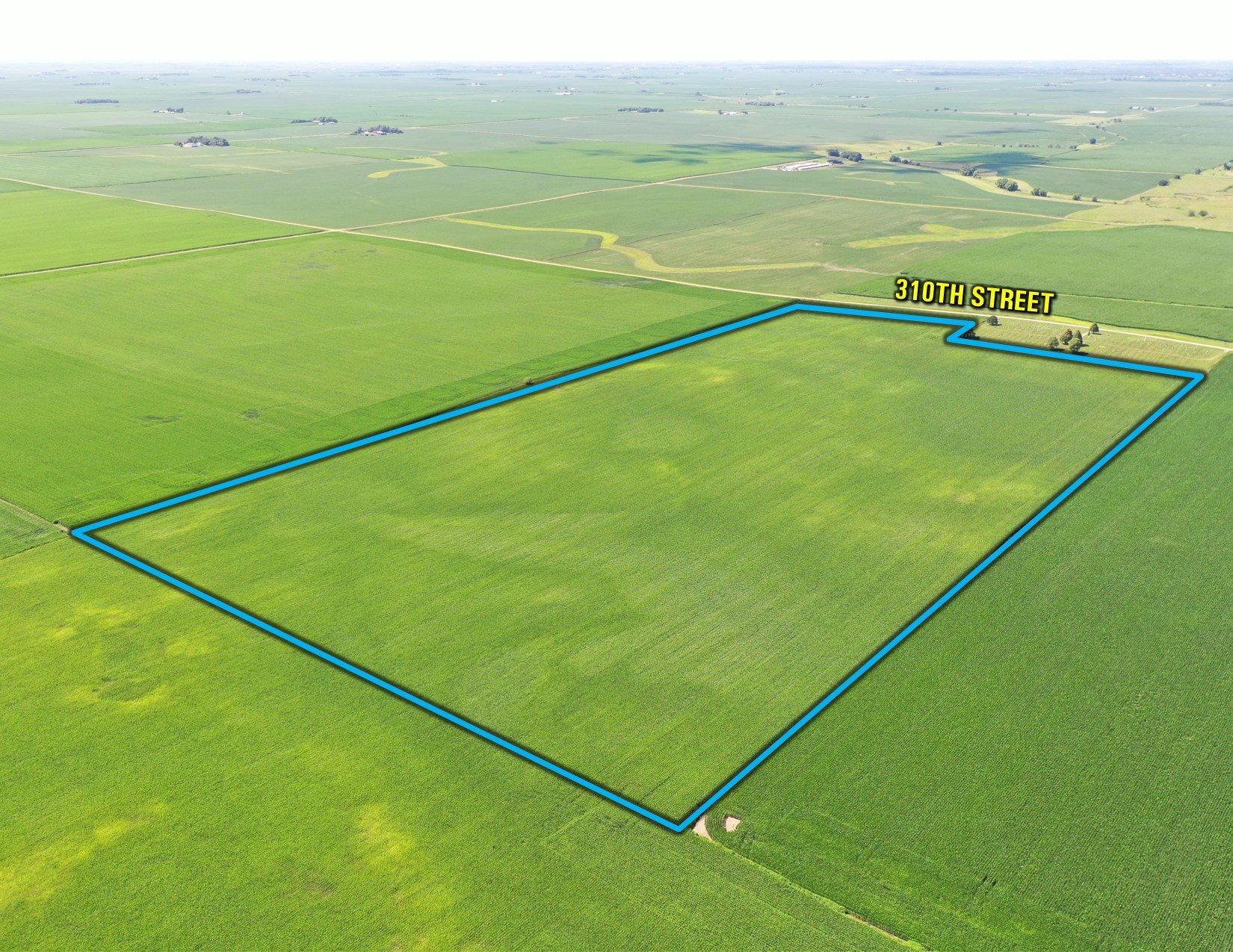 Greene County, Iowa Land For Sale