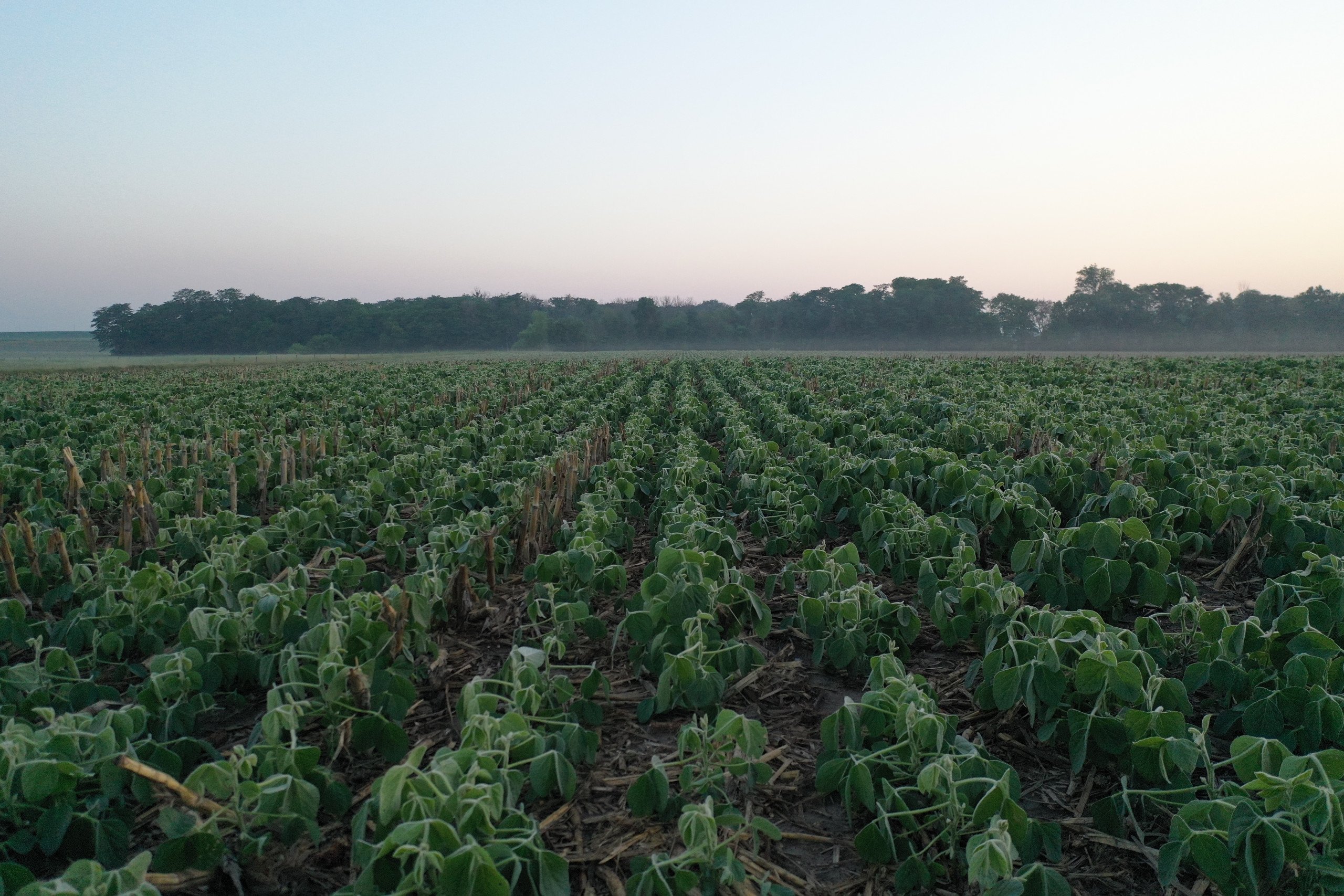 Dallas County, Iowa Farmland Available