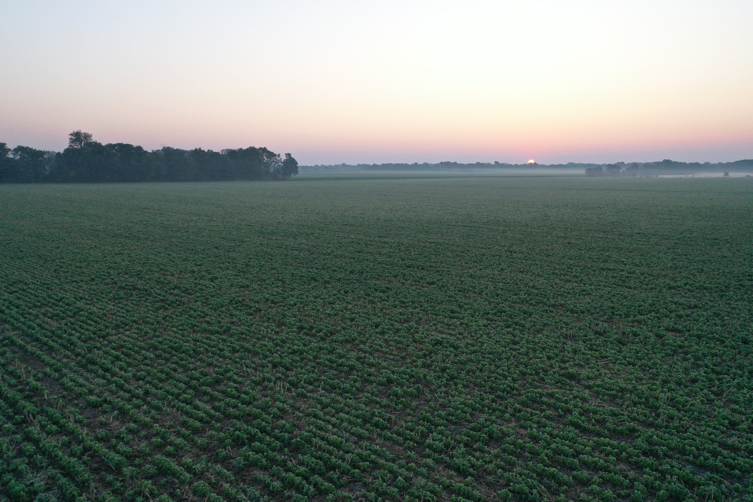 Dallas County, Iowa Farmland Available