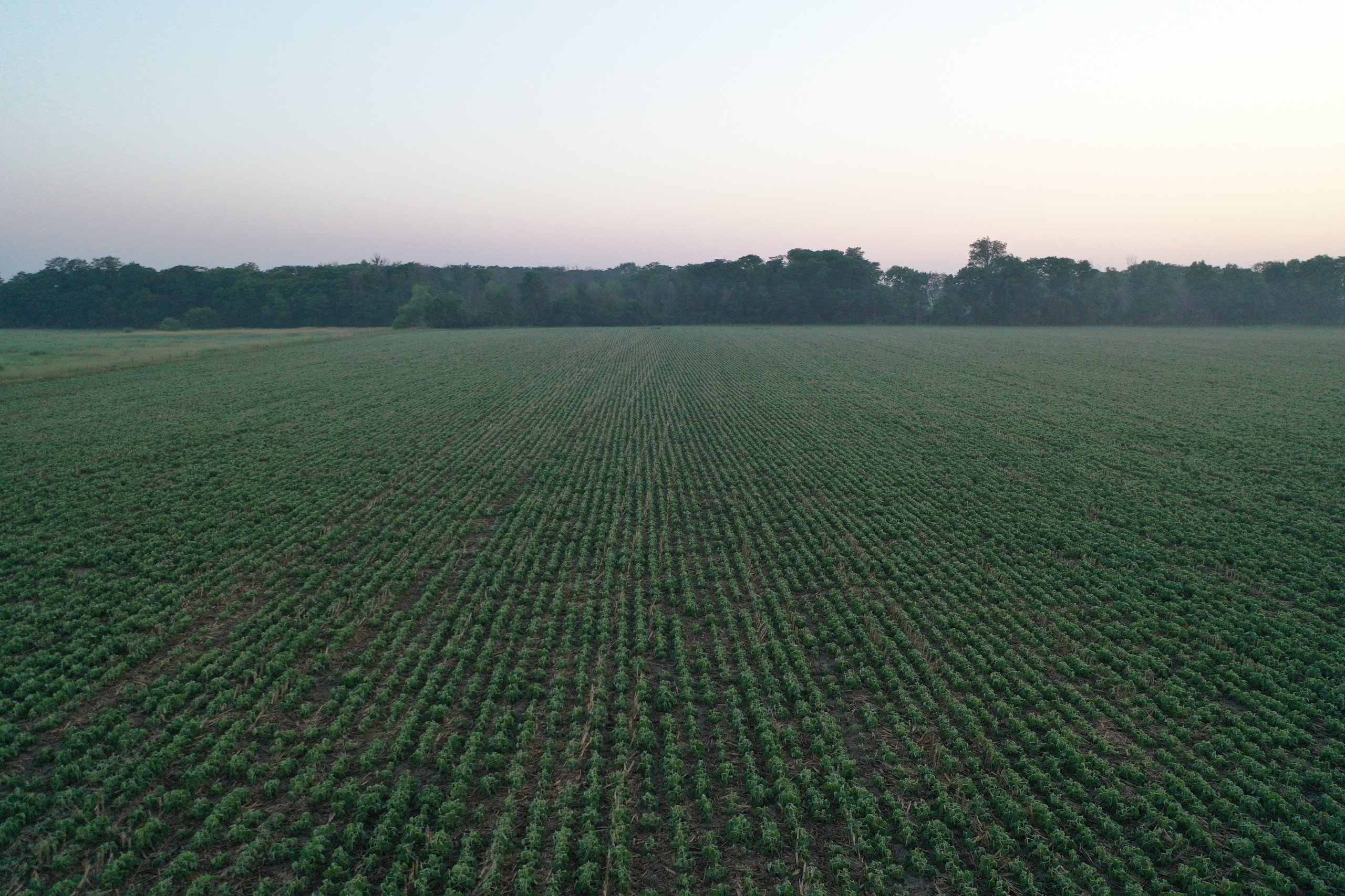 Dallas County, Iowa Farmland Available