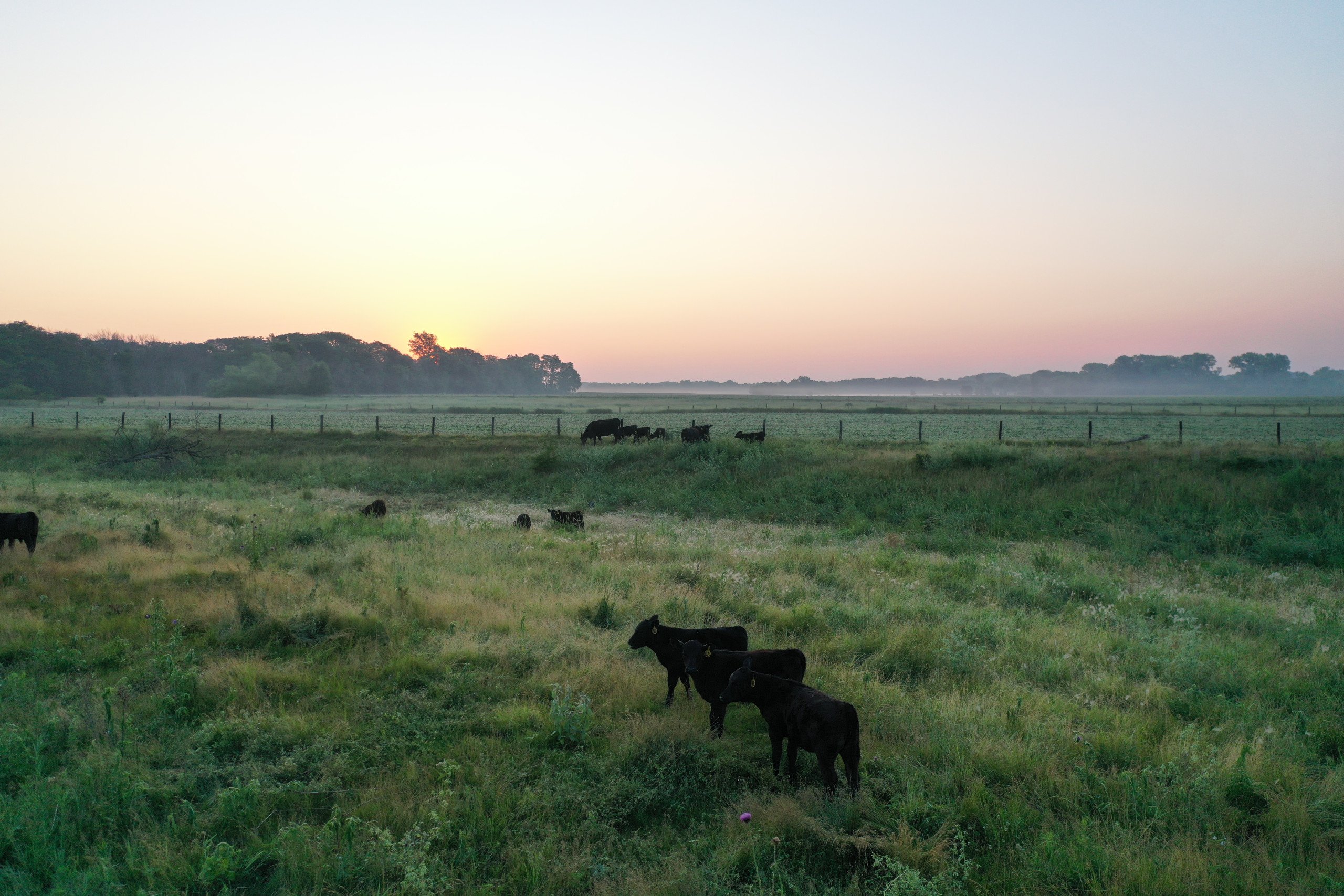 Dallas County, Iowa Farmland Available