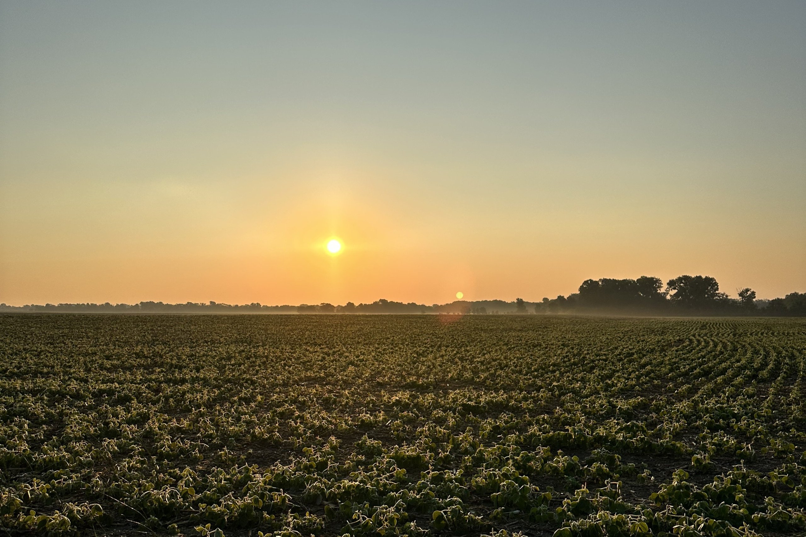 Dallas County, Iowa Farmland Available