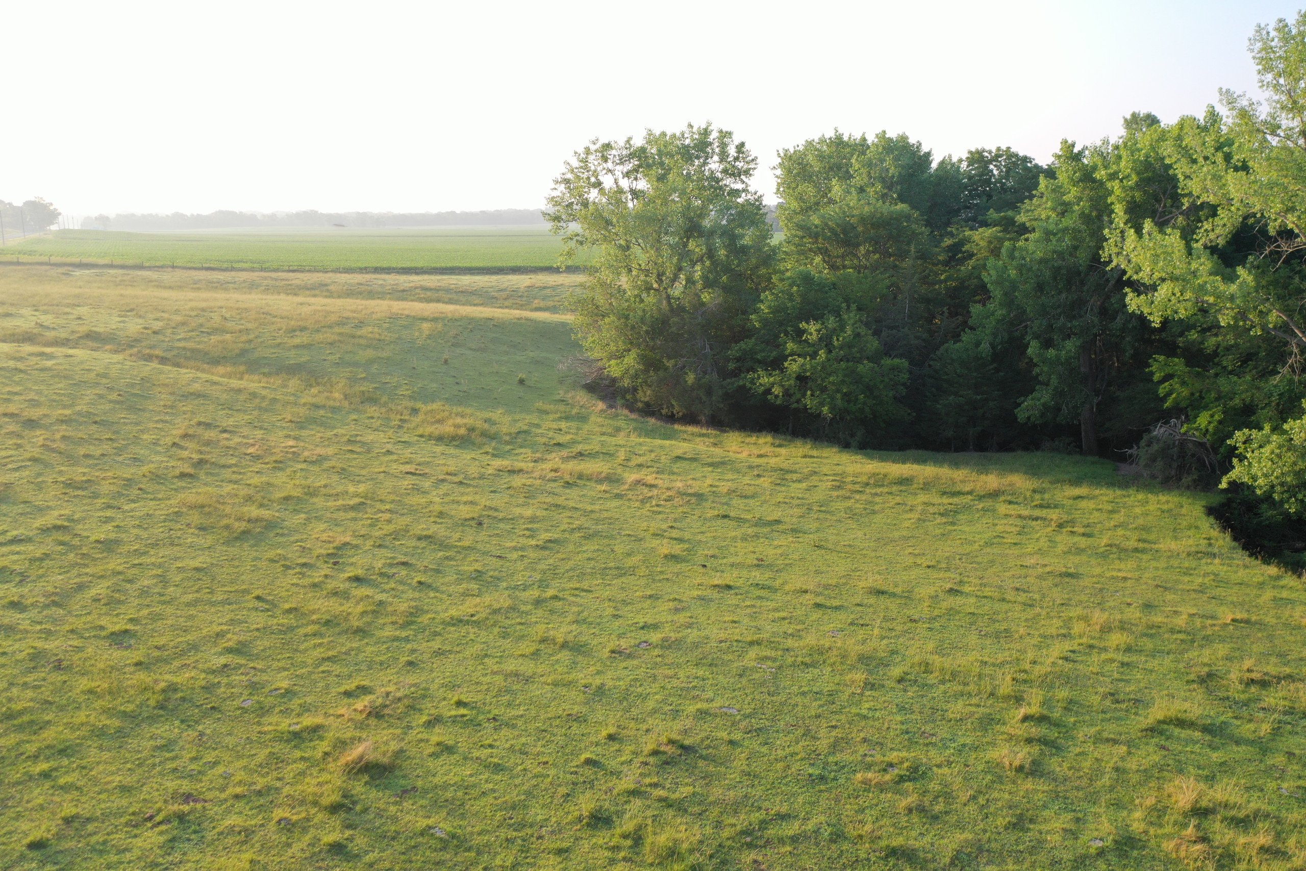 Dallas County, Iowa Farmland Available