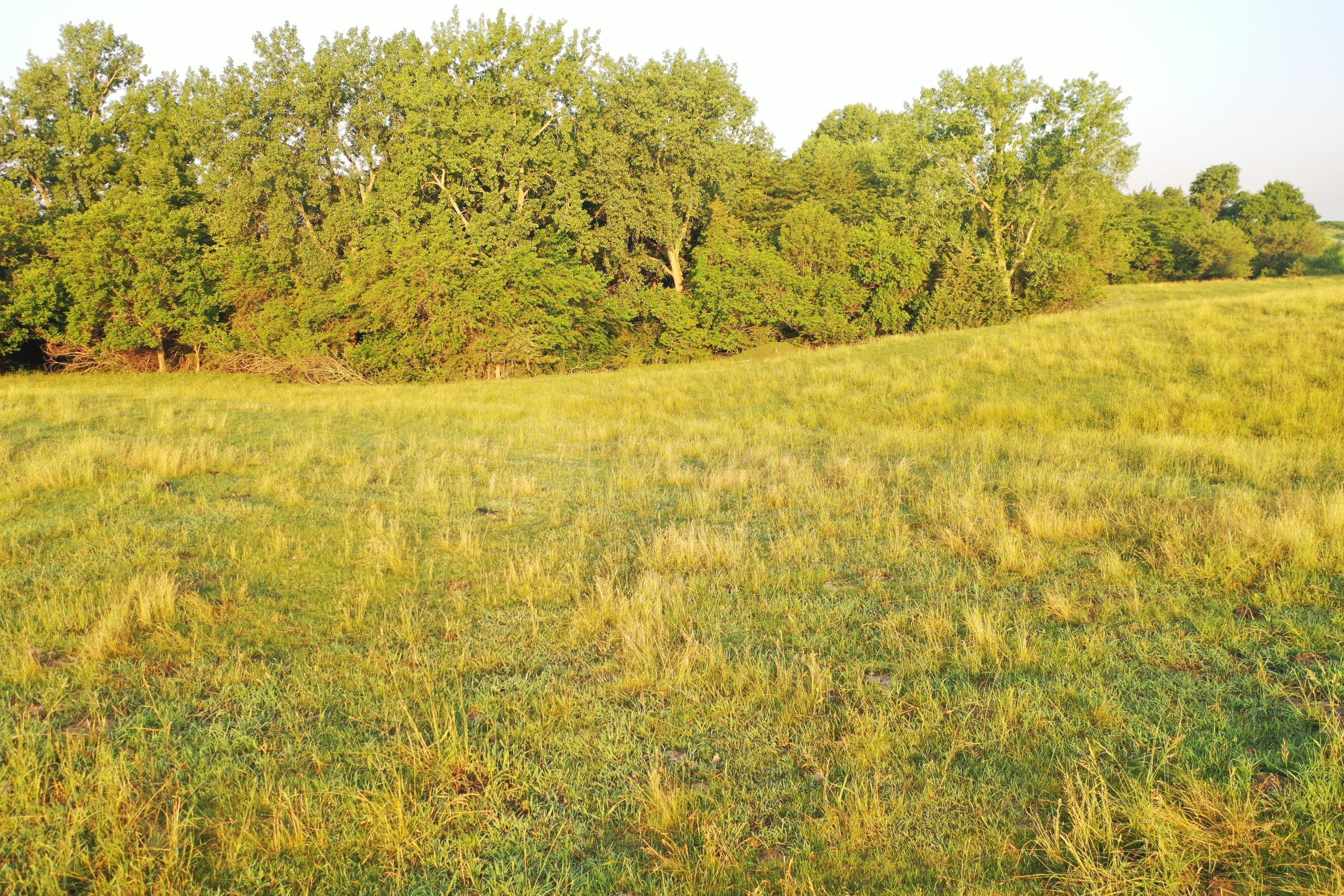 Dallas County, Iowa Farmland Available