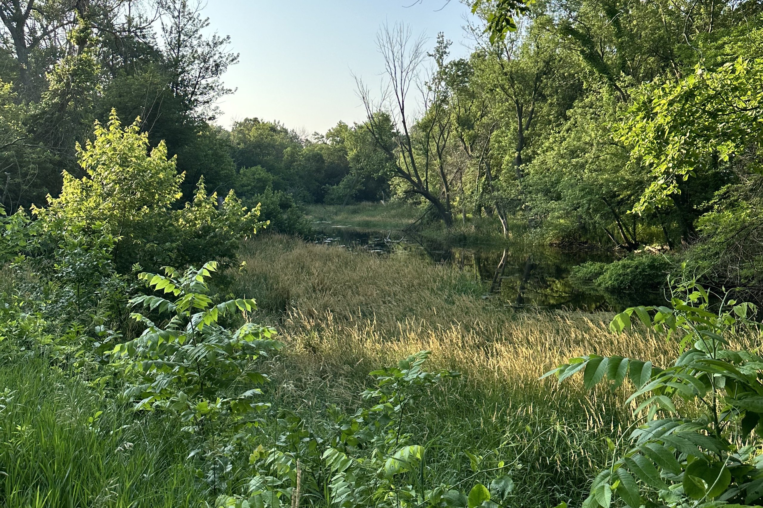 Dallas County, Iowa Farmland Available