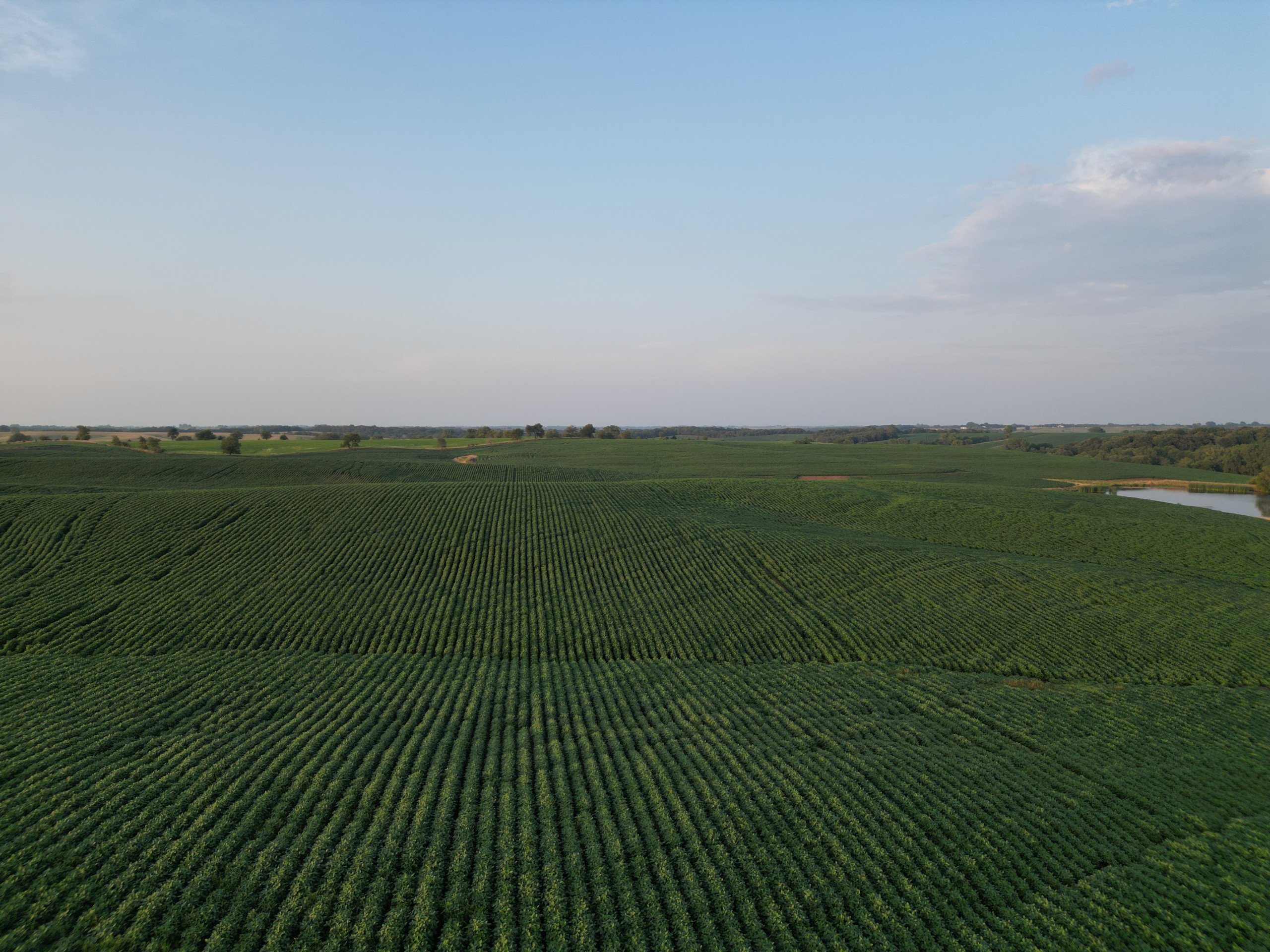 land-adair-county-iowa-205-acres-listing-number-16963-DJI_0674-0.jpg