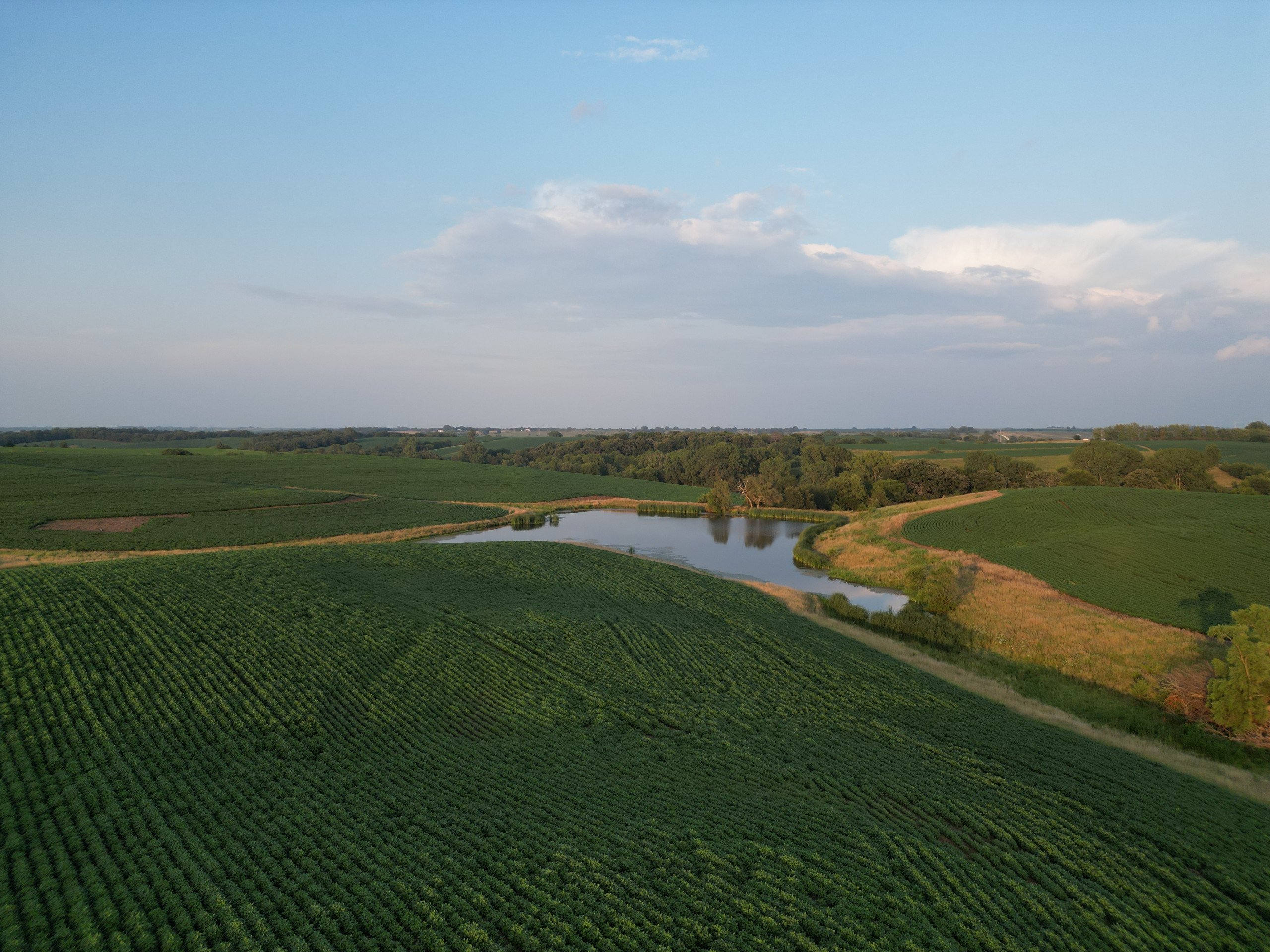 land-adair-county-iowa-205-acres-listing-number-16963-DJI_0678-1.jpg