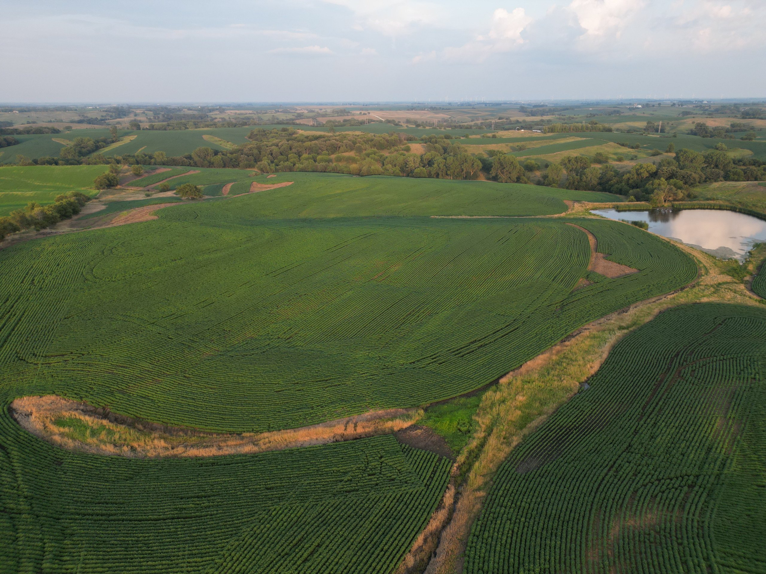 land-adair-county-iowa-205-acres-listing-number-16963-DJI_0711-0.jpg