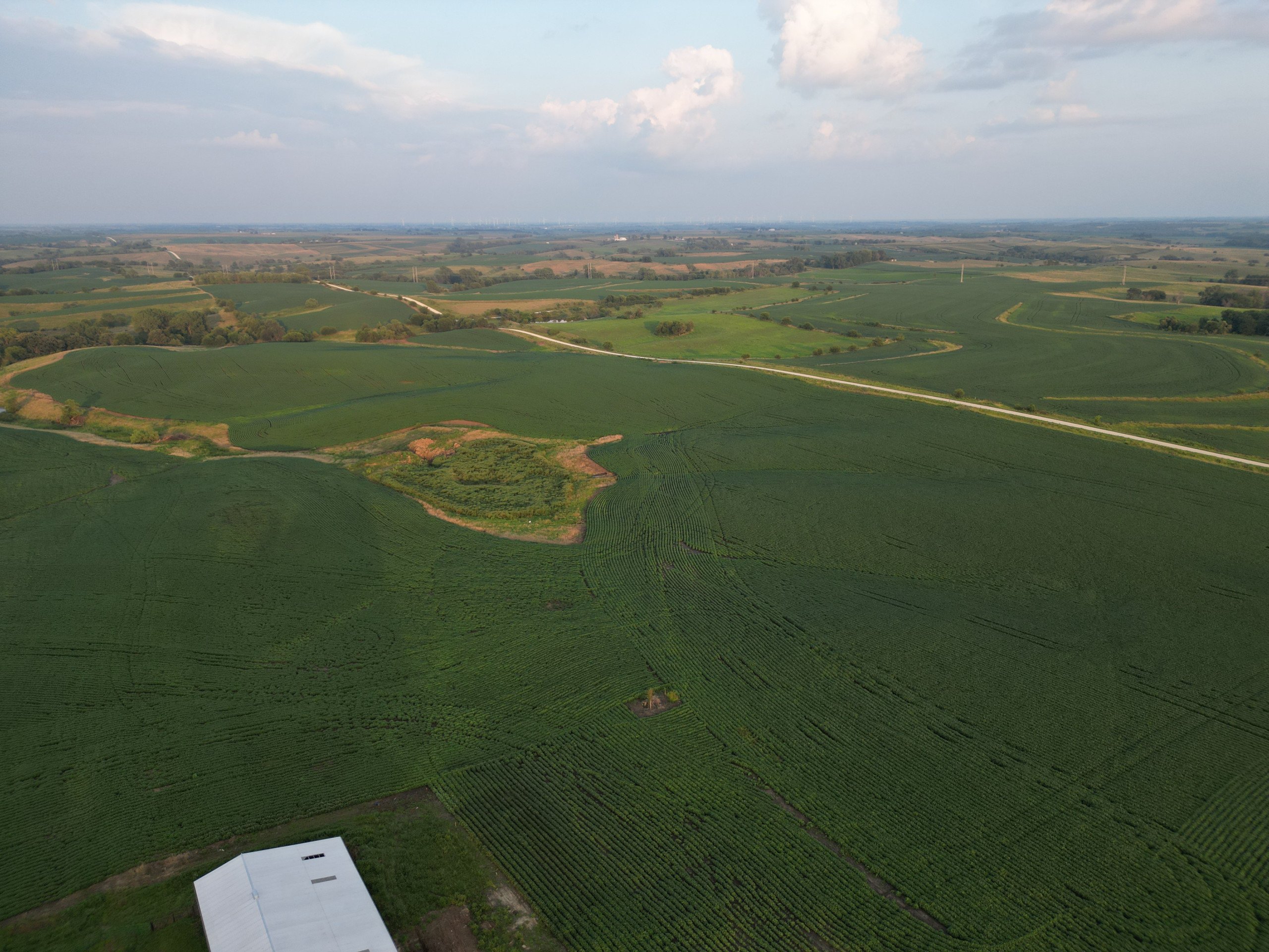 land-adair-county-iowa-205-acres-listing-number-16963-DJI_0728-1.jpg