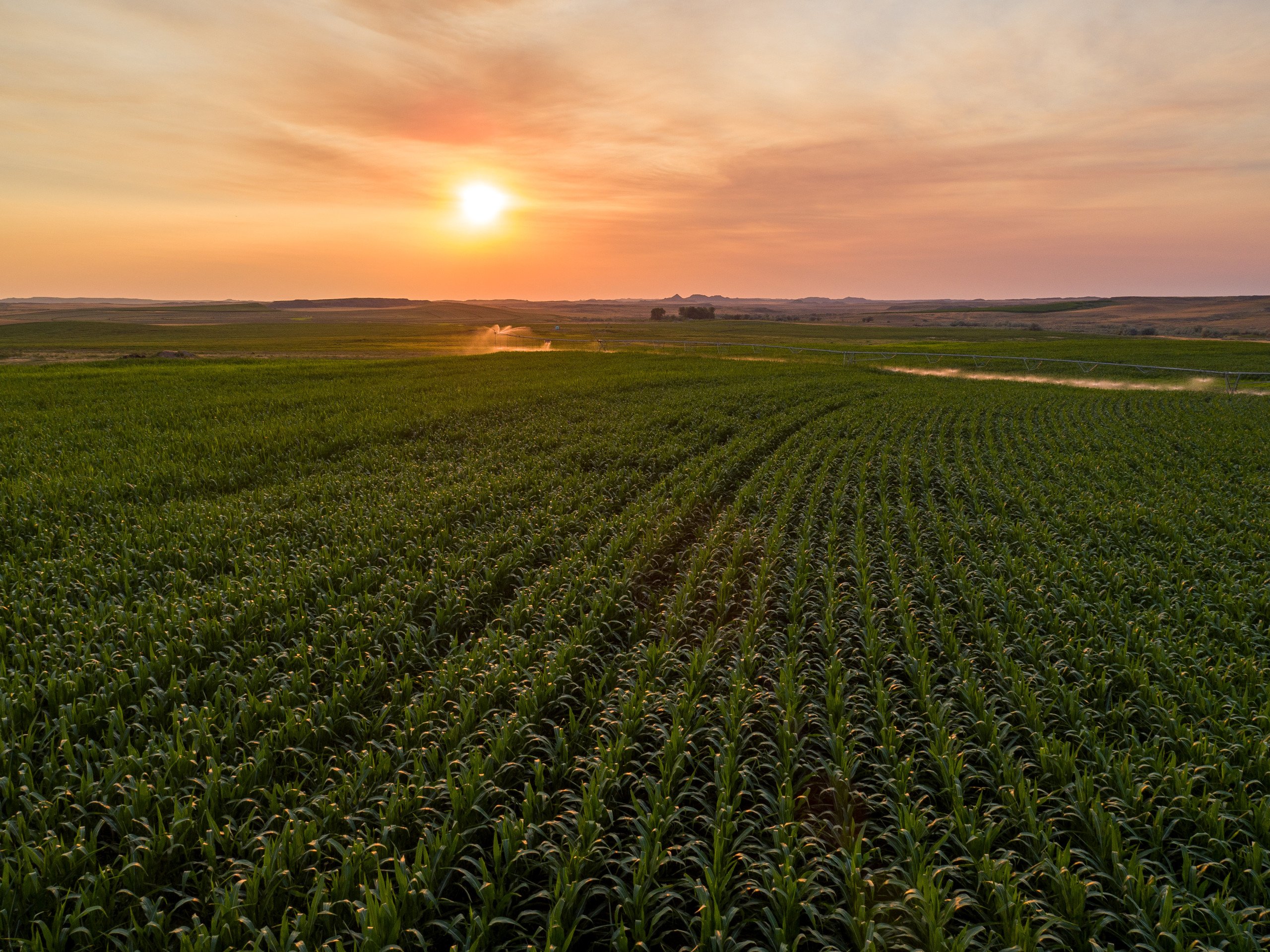 land-custer-county-montana-7170-acres-listing-number-16965-DJI_0278-0.jpg