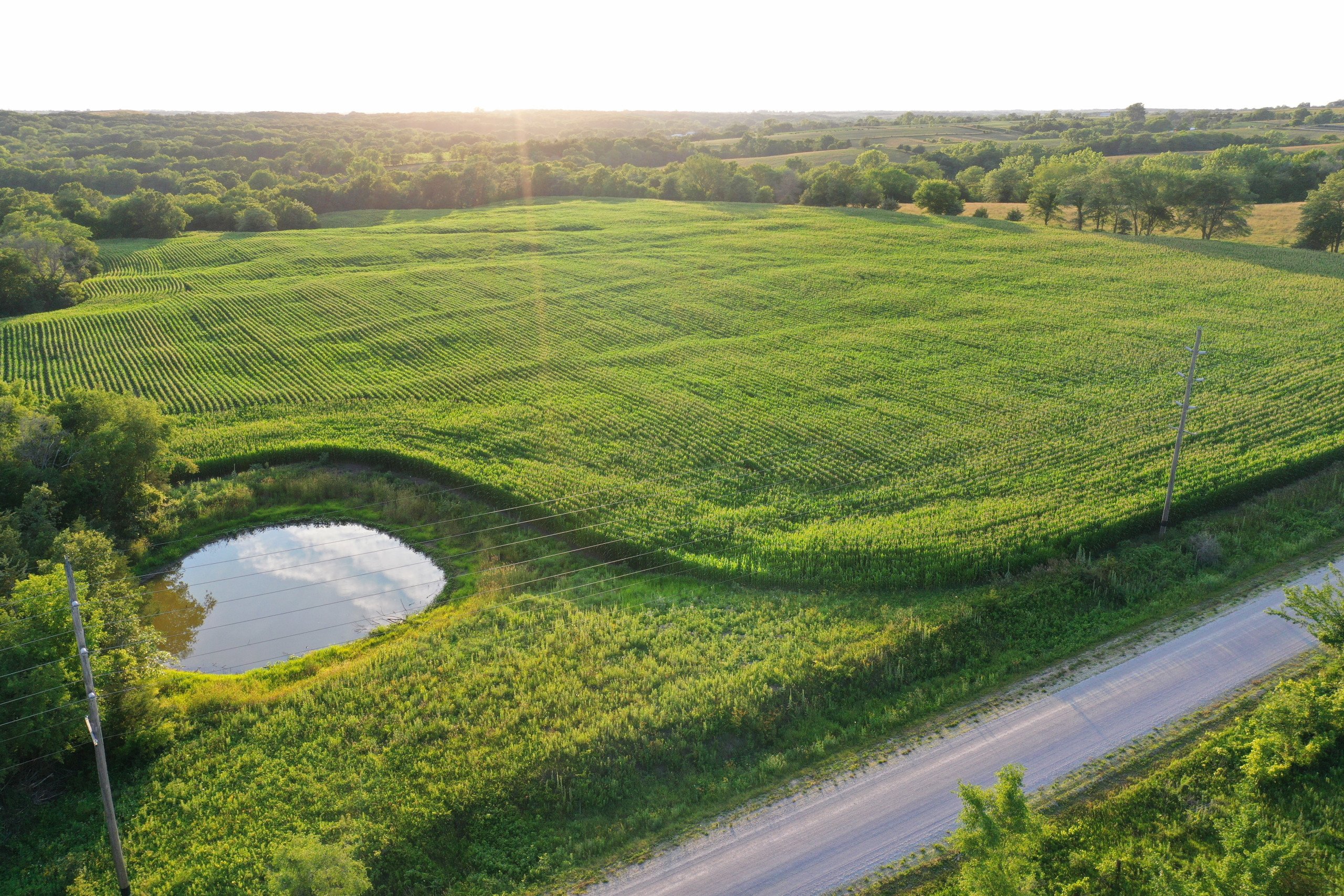 land-decatur-county-iowa-22-acres-listing-number-16970-DJI_0896-4.jpg