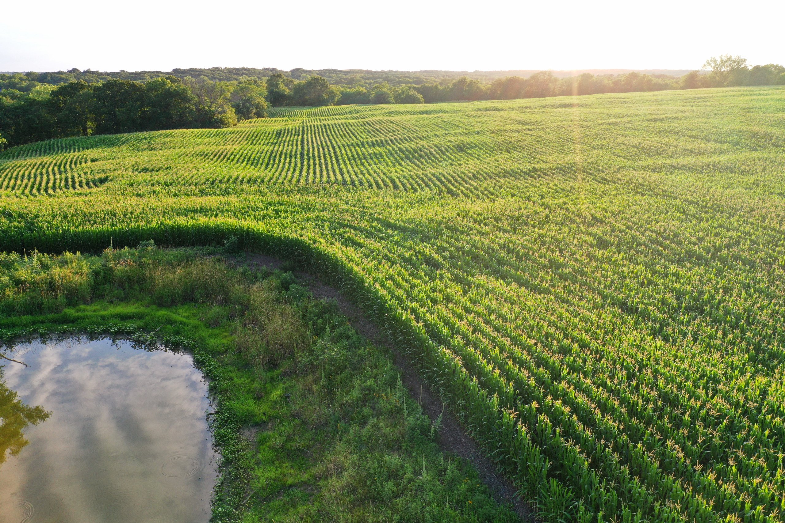 land-decatur-county-iowa-22-acres-listing-number-16970-DJI_0899-5.jpg