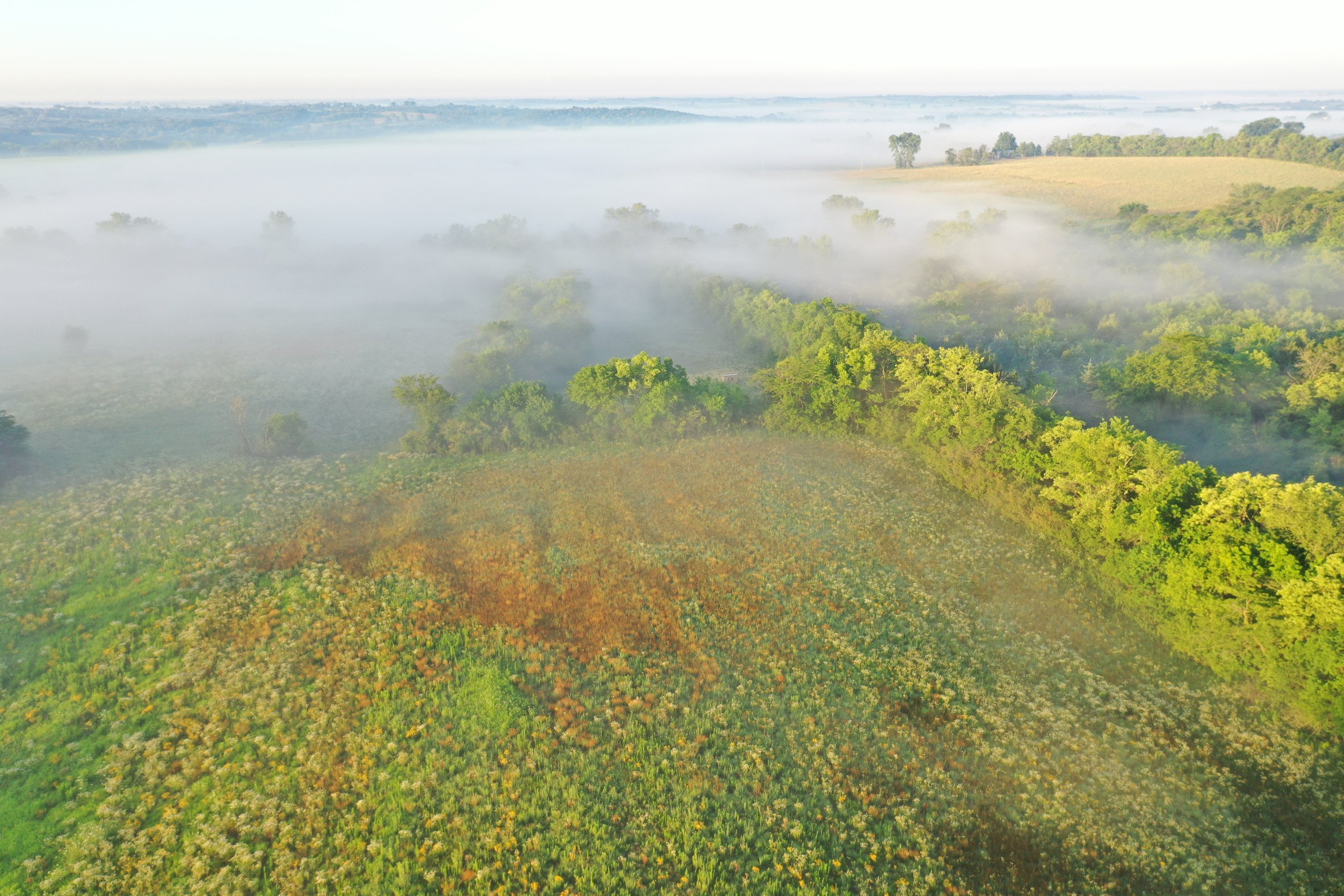 land-marion-county-iowa-40-acres-listing-number-16971-DJI_0753-1.jpg