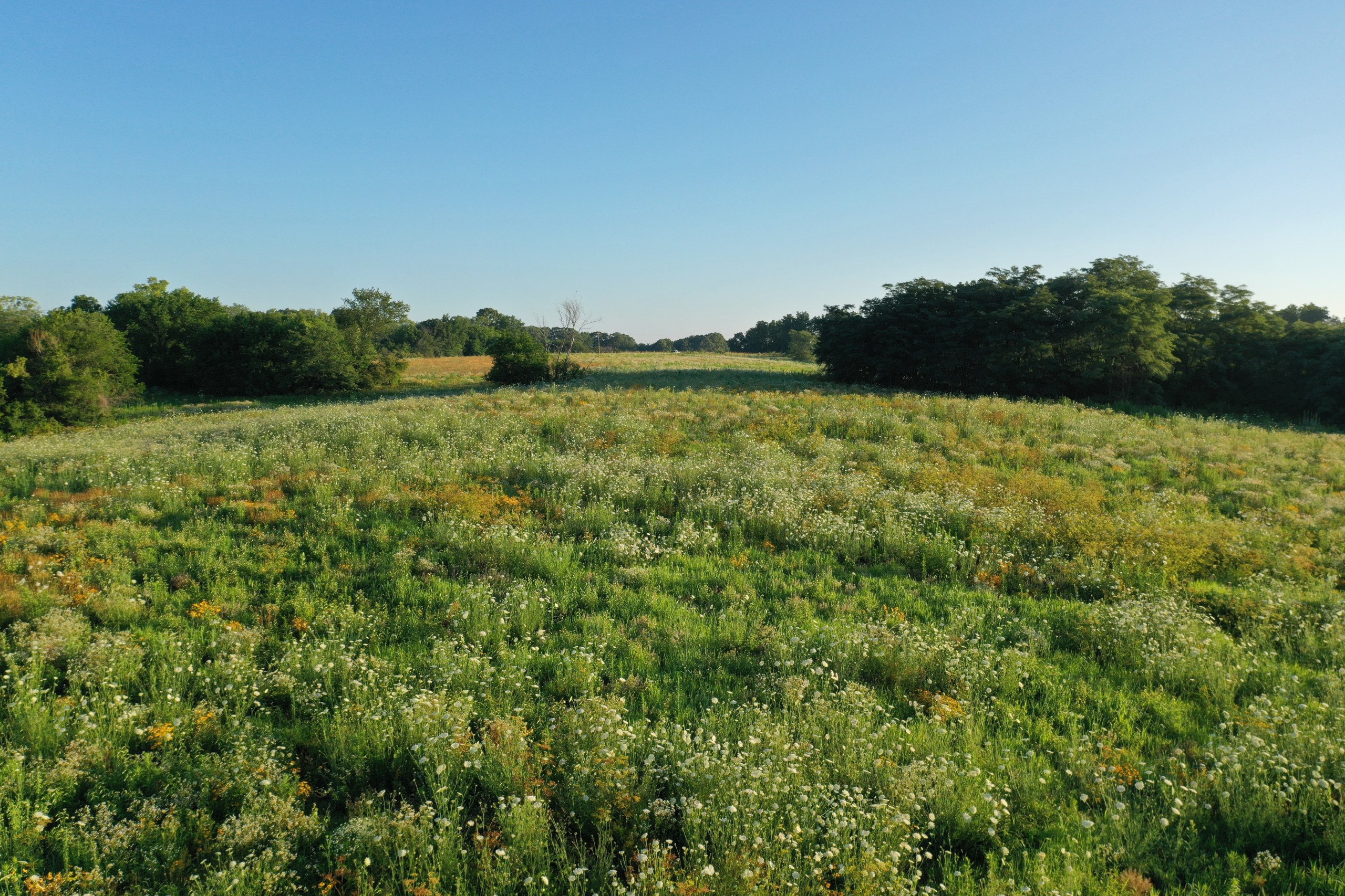 land-marion-county-iowa-40-acres-listing-number-16971-DJI_0802-4.jpg