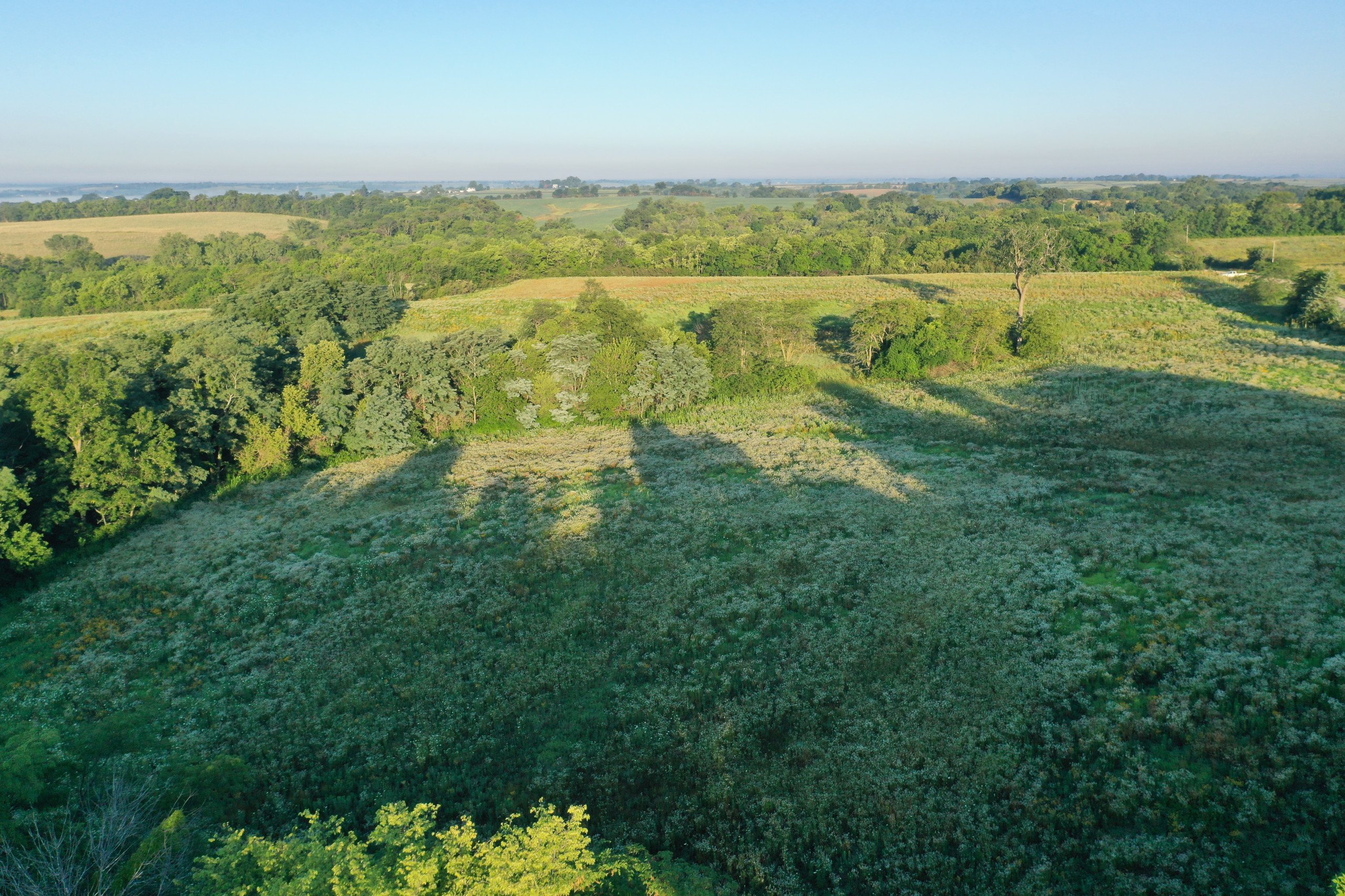 land-marion-county-iowa-40-acres-listing-number-16971-DJI_0809-0.jpg