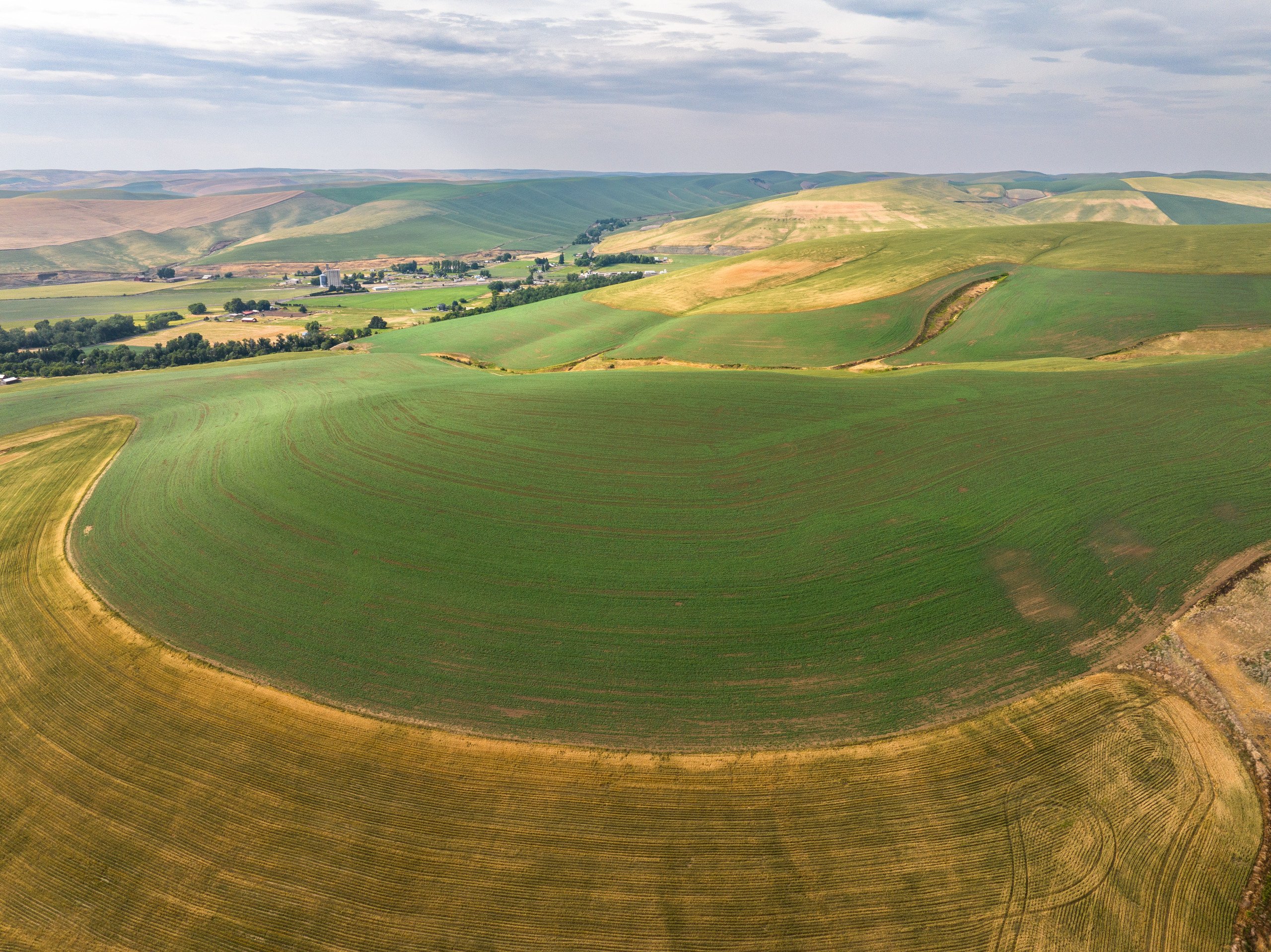 auctions-land-columbia-walla-walla-county-washington-6608-acres-listing-number-16972-DJI_20230616163221_0046-0.jpg