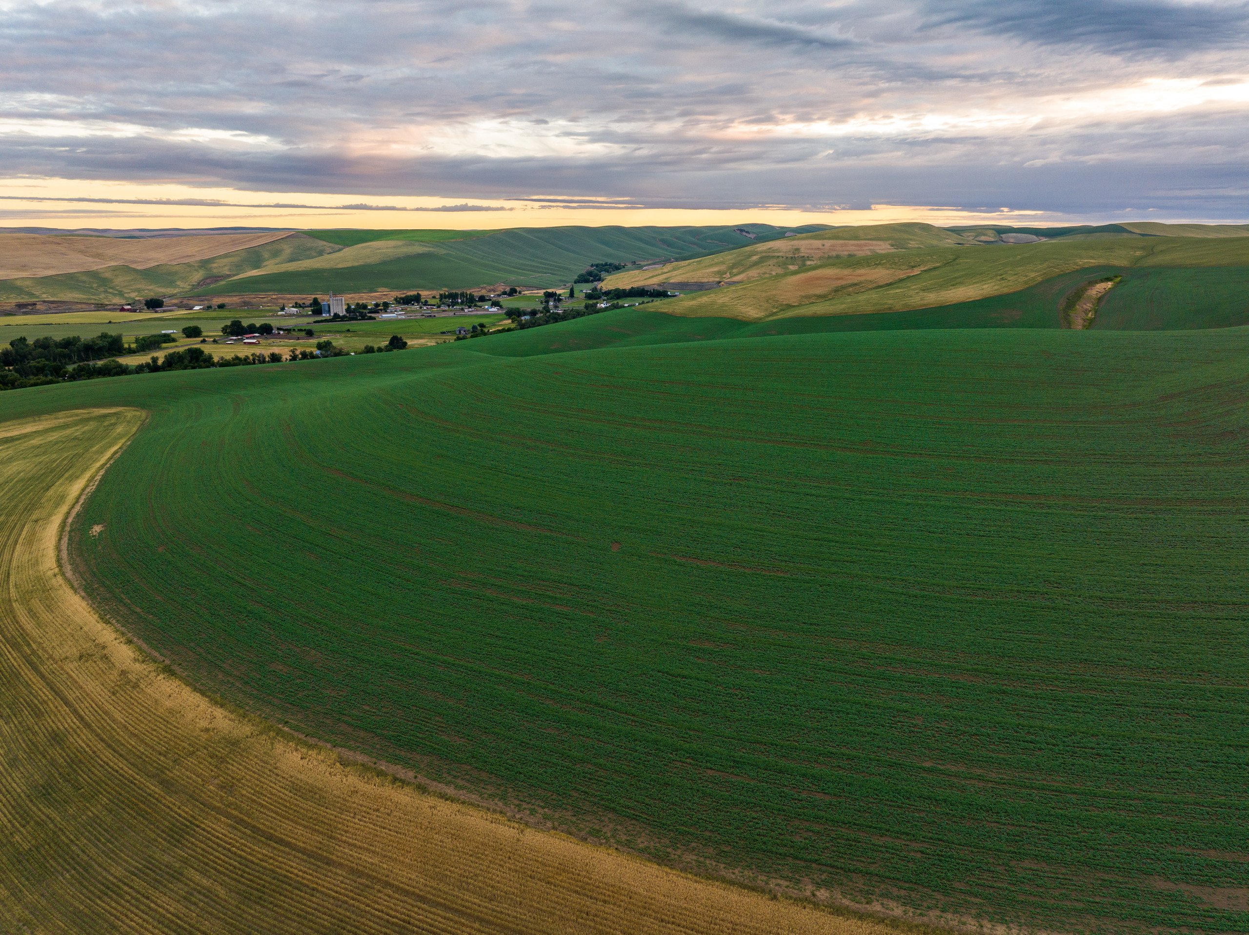 auctions-land-columbia-walla-walla-county-washington-6608-acres-listing-number-16972-DJI_20230617051358_0255-0.jpg