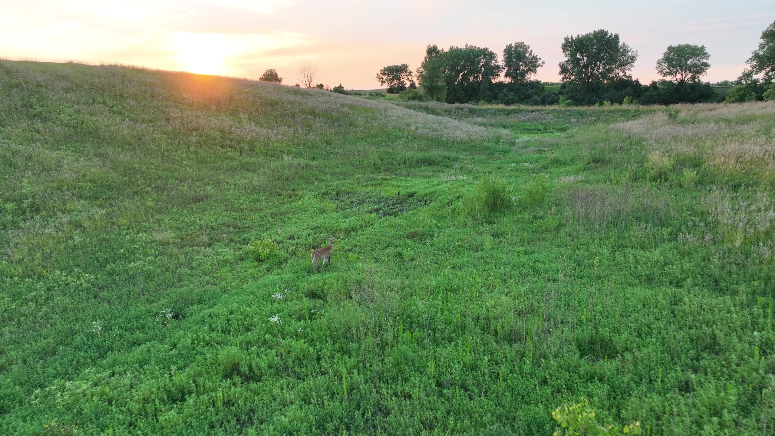 Madison County, Iowa Land For Sale