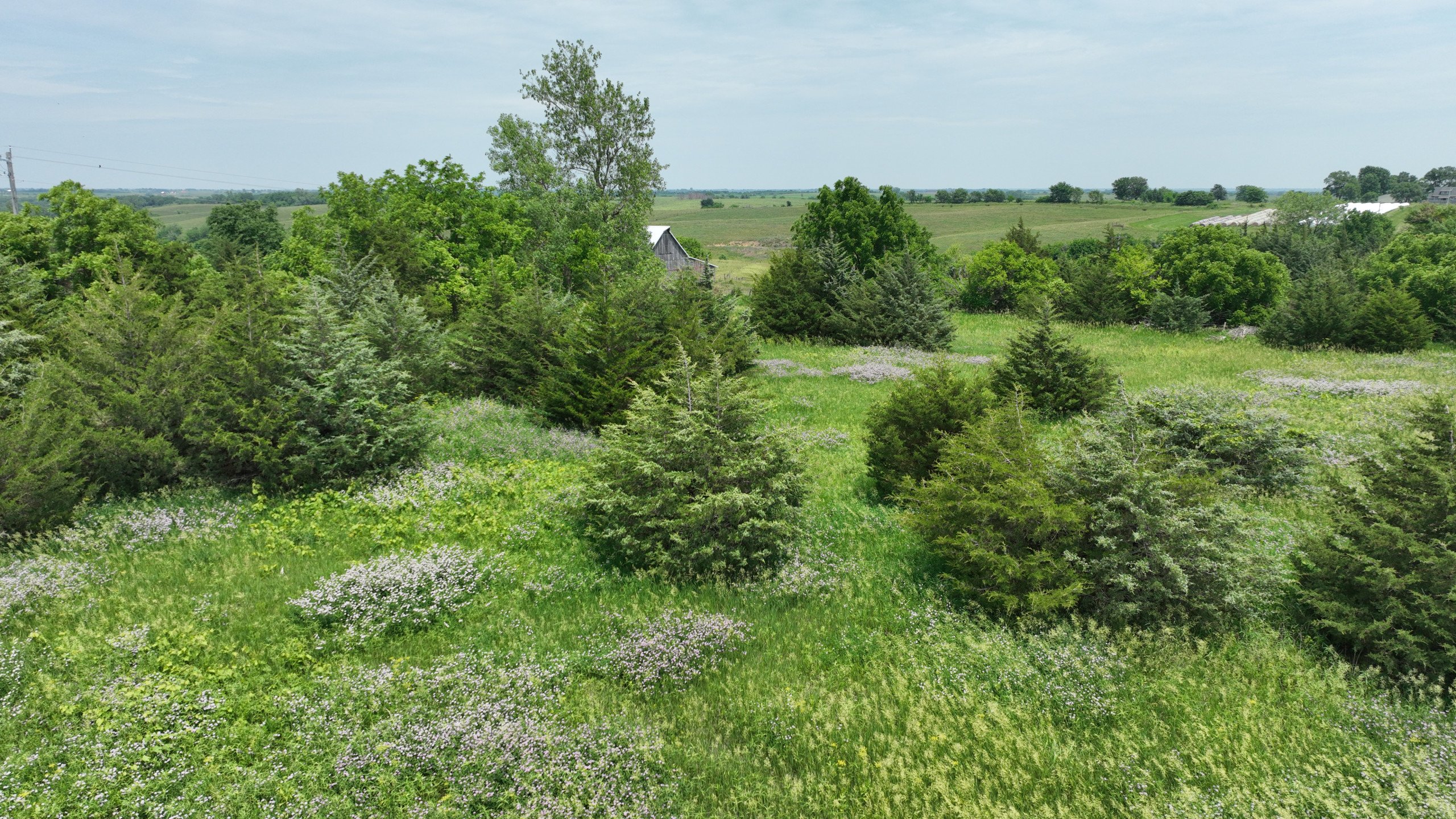 Ringgold County, Iowa Building Site For Sale