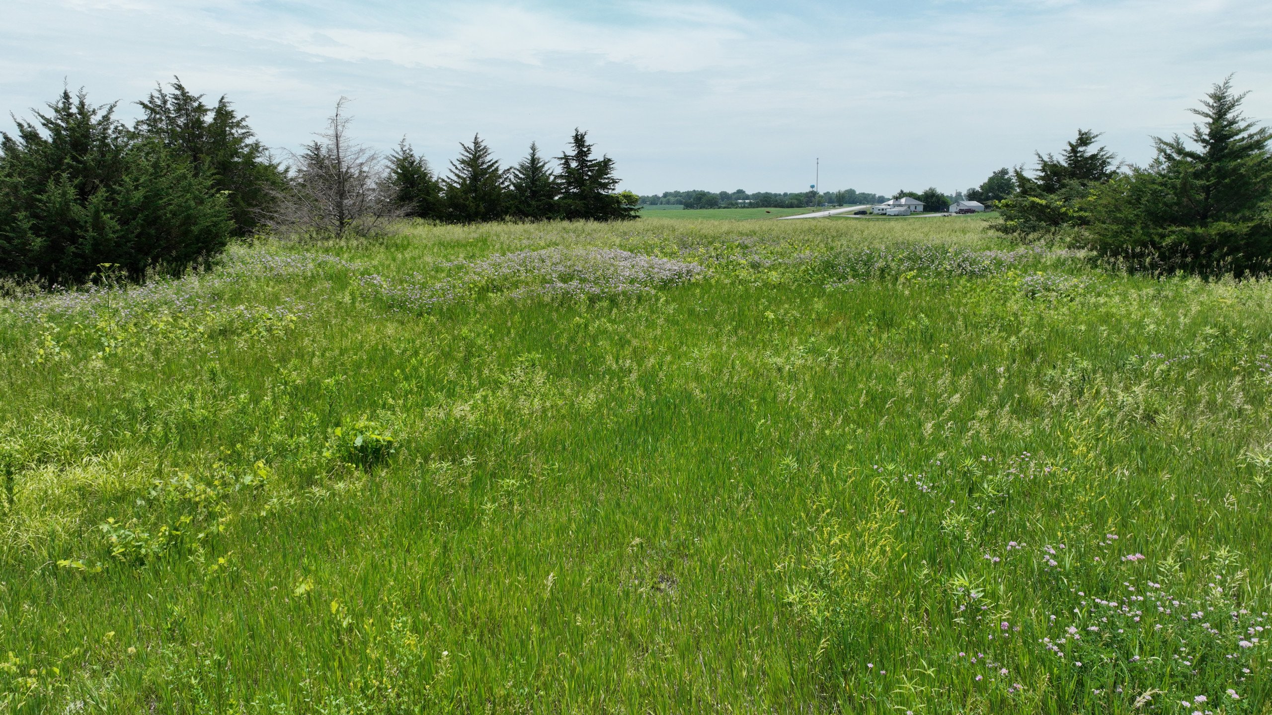 Ringgold County, Iowa Building Site For Sale