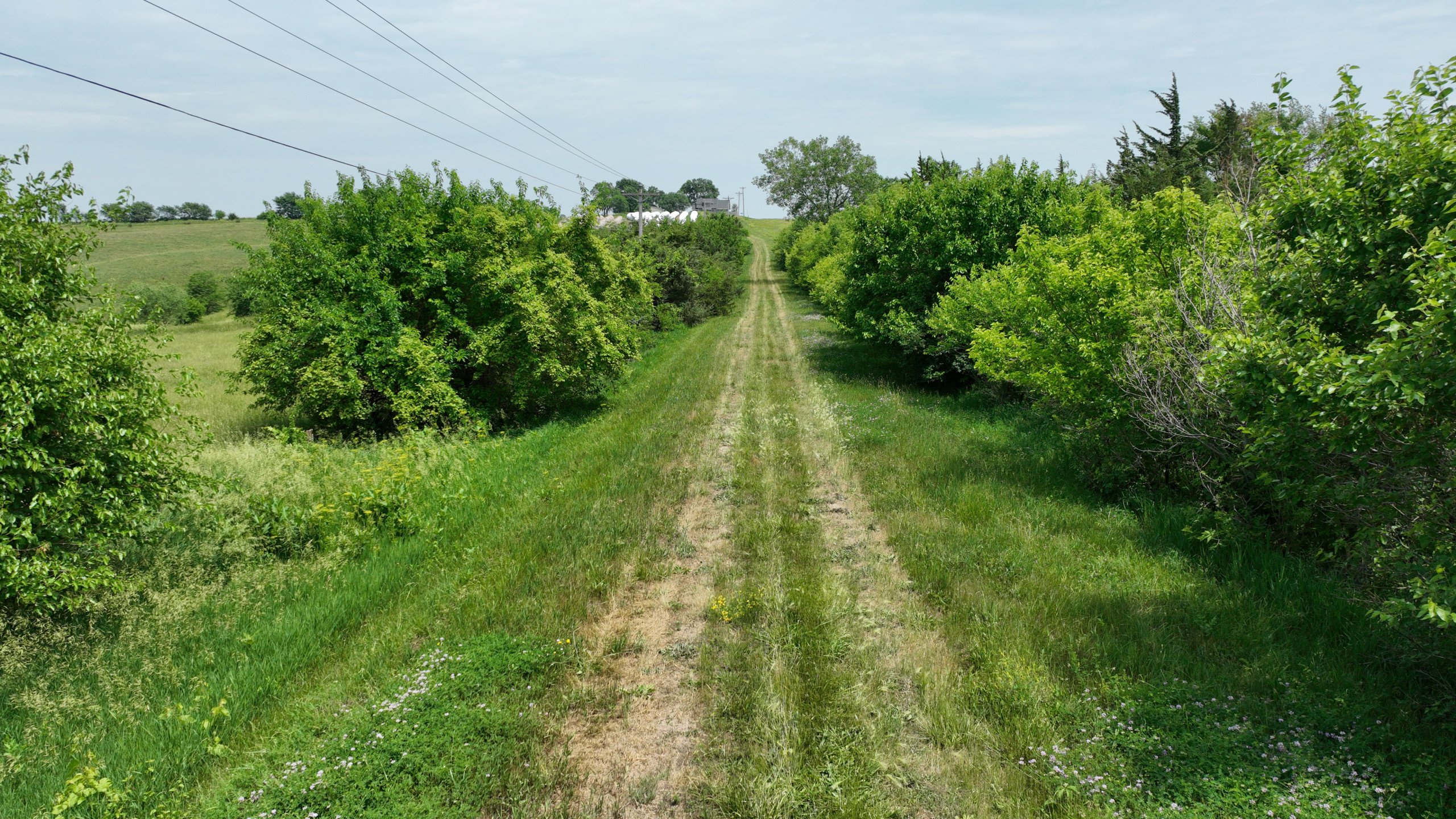 Ringgold County, Iowa Building Site For Sale