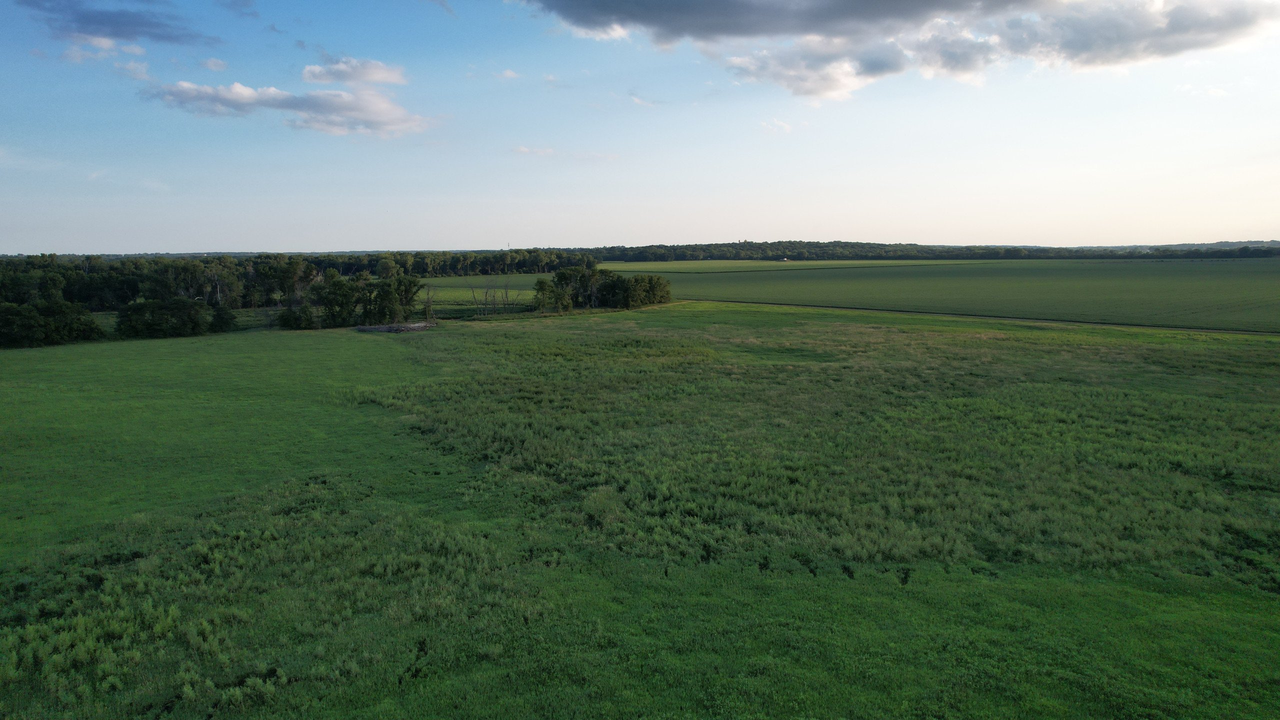 land-polk-county-iowa-80-acres-listing-number-16982-DJI_0102-3.jpg