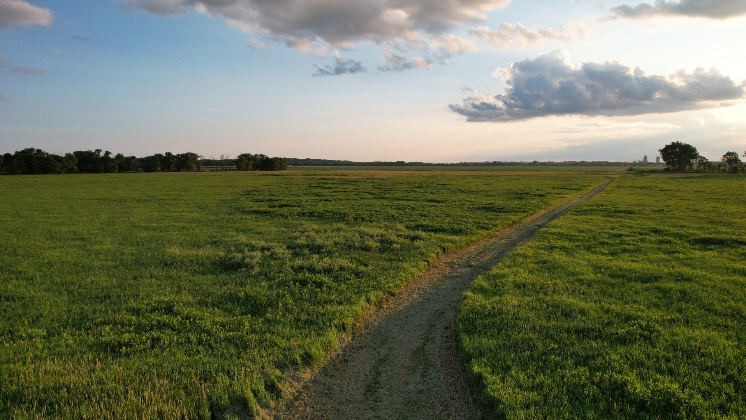 land-polk-county-iowa-80-acres-listing-number-16982-DJI_0170-1.jpg