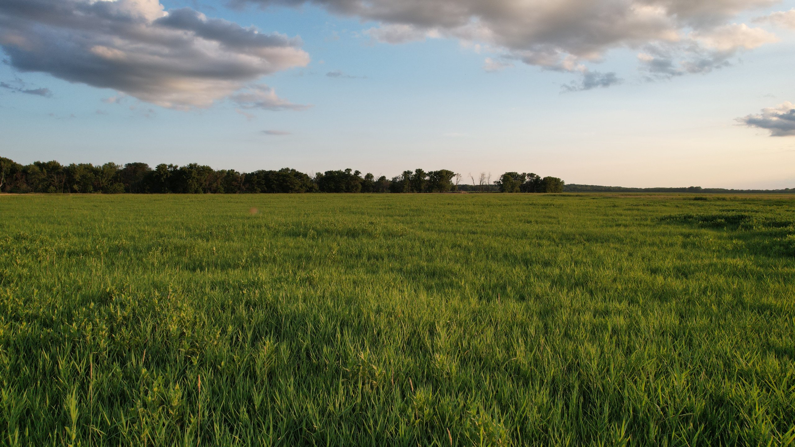 land-polk-county-iowa-80-acres-listing-number-16982-DJI_0174-3.jpg