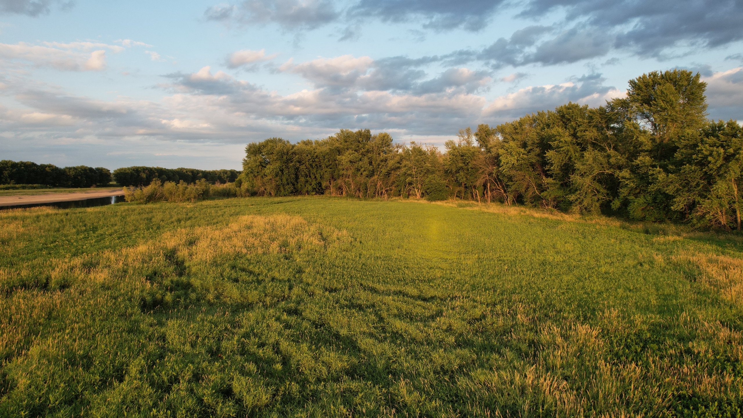 land-polk-county-iowa-80-acres-listing-number-16982-DJI_0184-4.jpg