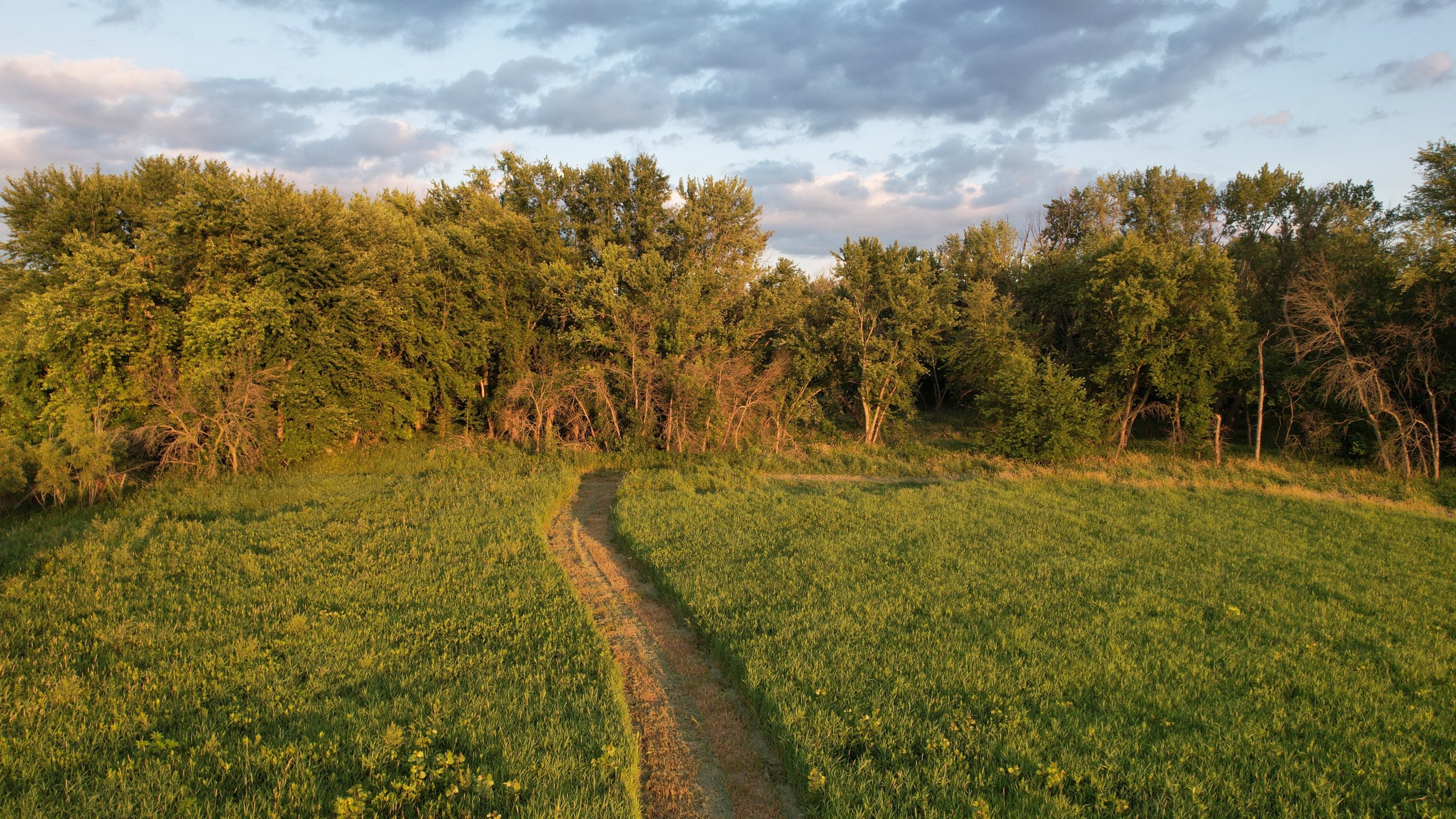 land-polk-county-iowa-80-acres-listing-number-16982-DJI_0185-1.jpg