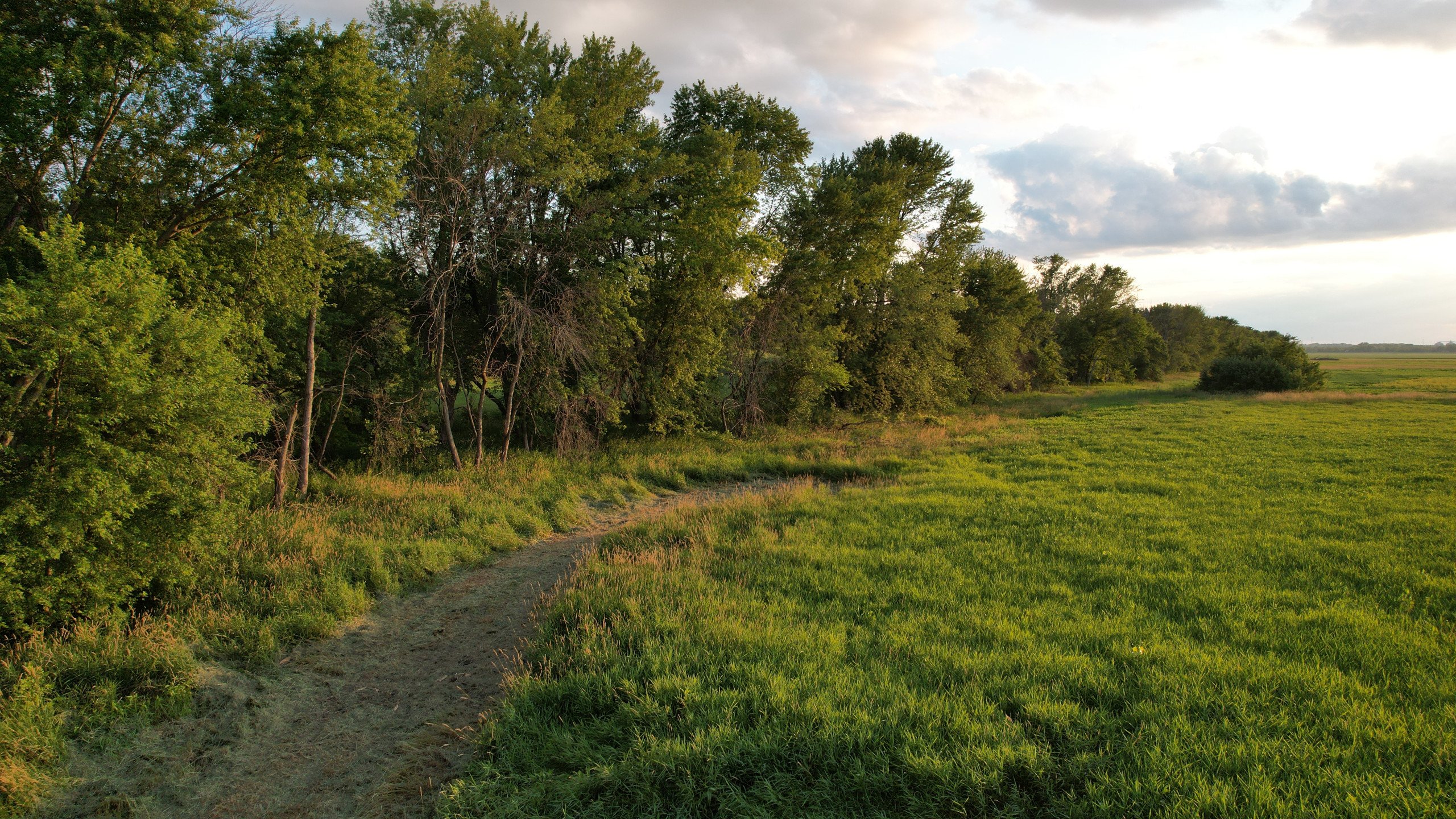 land-polk-county-iowa-80-acres-listing-number-16982-DJI_0186-2.jpg