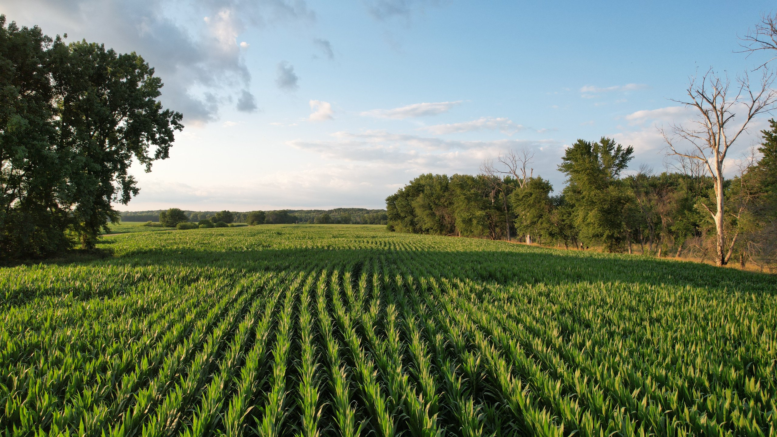 land-polk-county-iowa-57-acres-listing-number-16983-DJI_0145-3.jpg