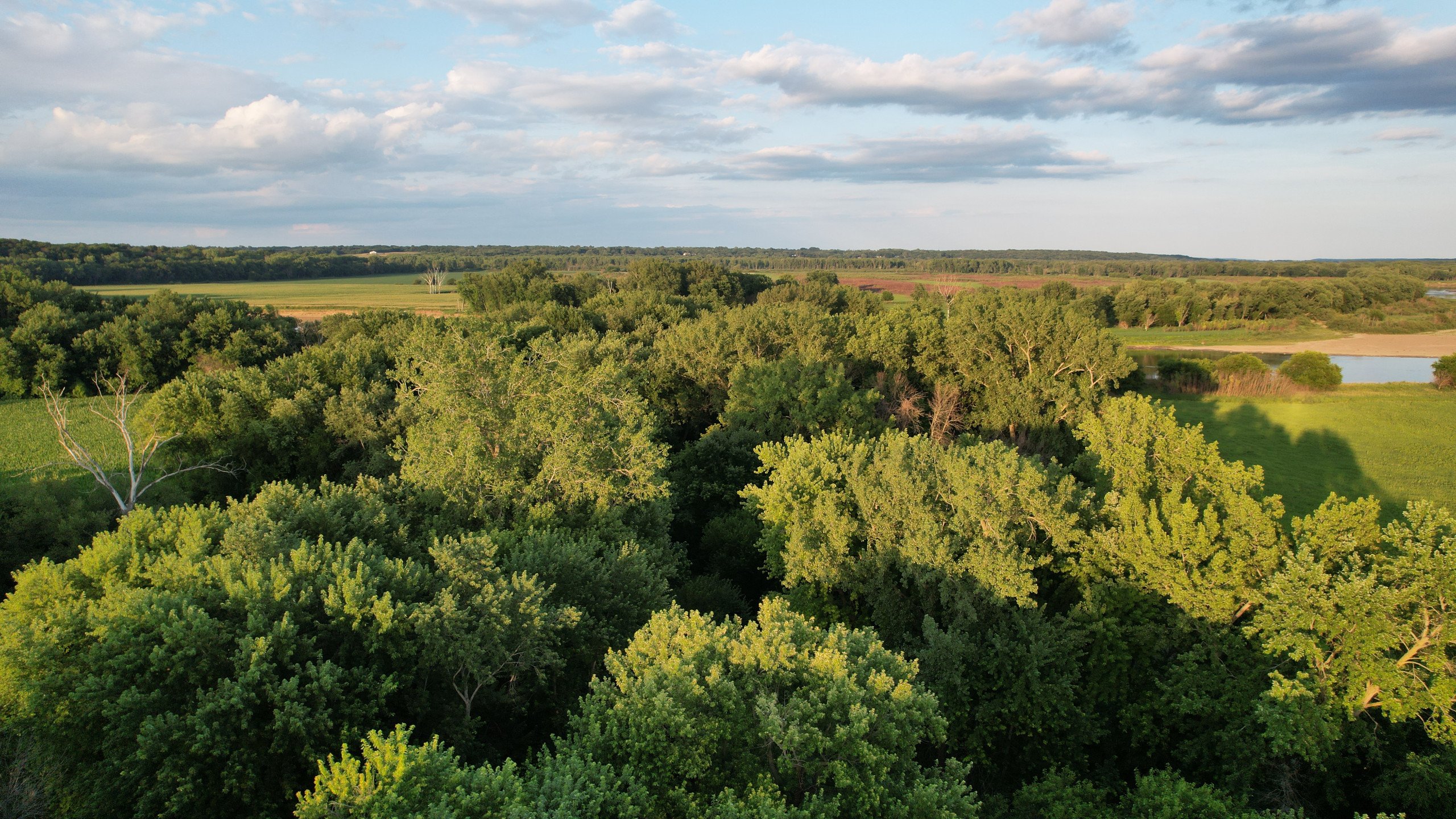 land-polk-county-iowa-57-acres-listing-number-16983-DJI_0149-4.jpg