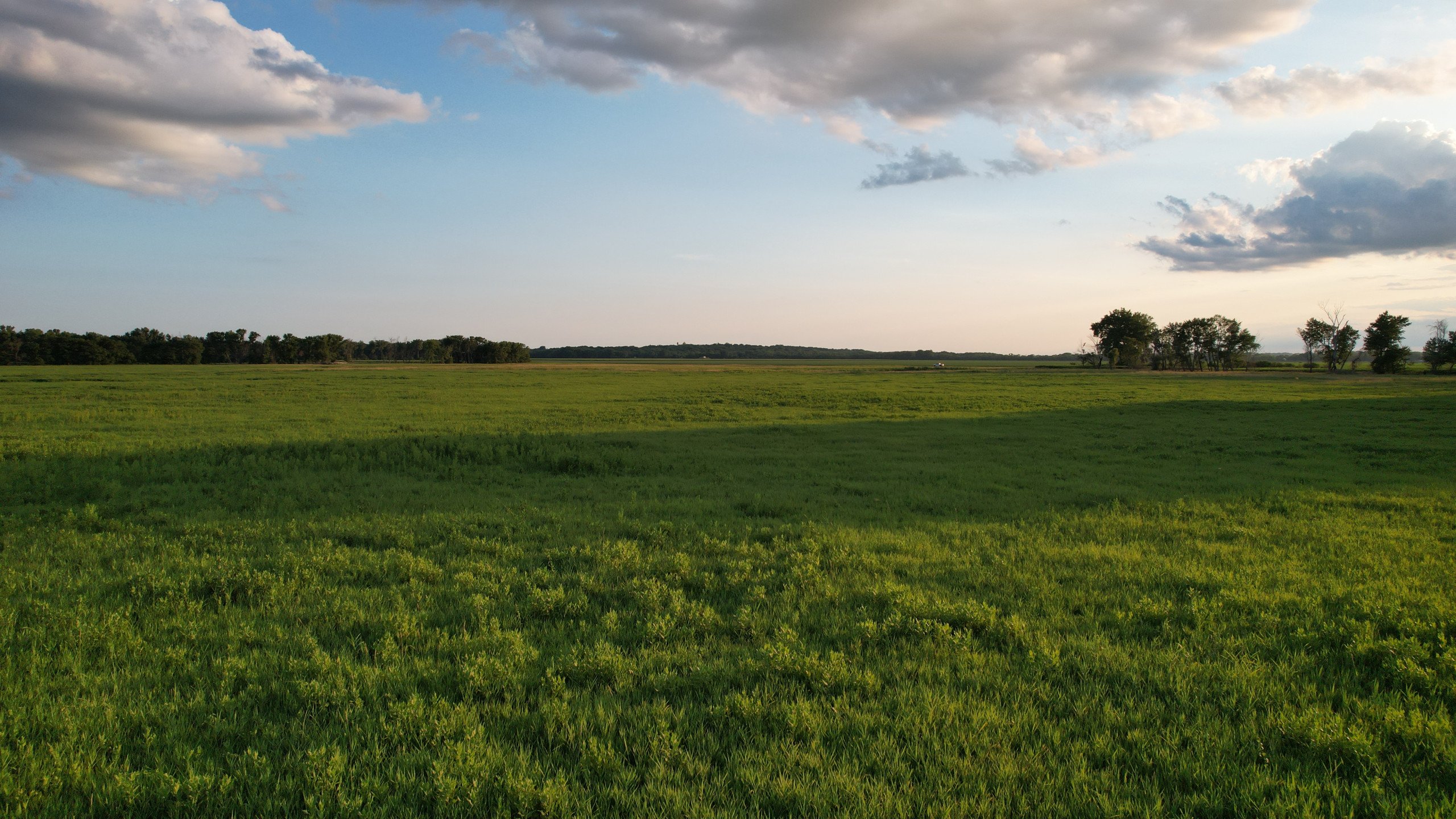 land-polk-county-iowa-57-acres-listing-number-16983-DJI_0163-2.jpg