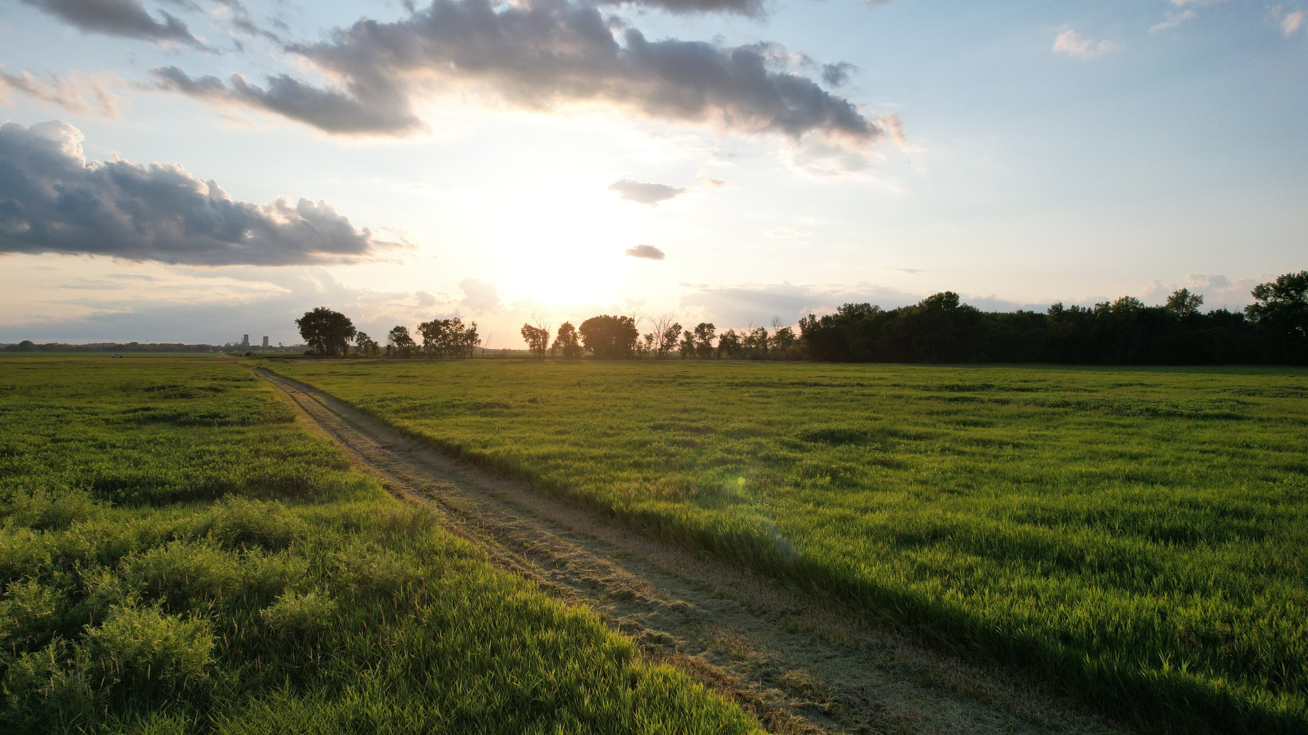 land-polk-county-iowa-57-acres-listing-number-16983-DJI_0171-0.jpg