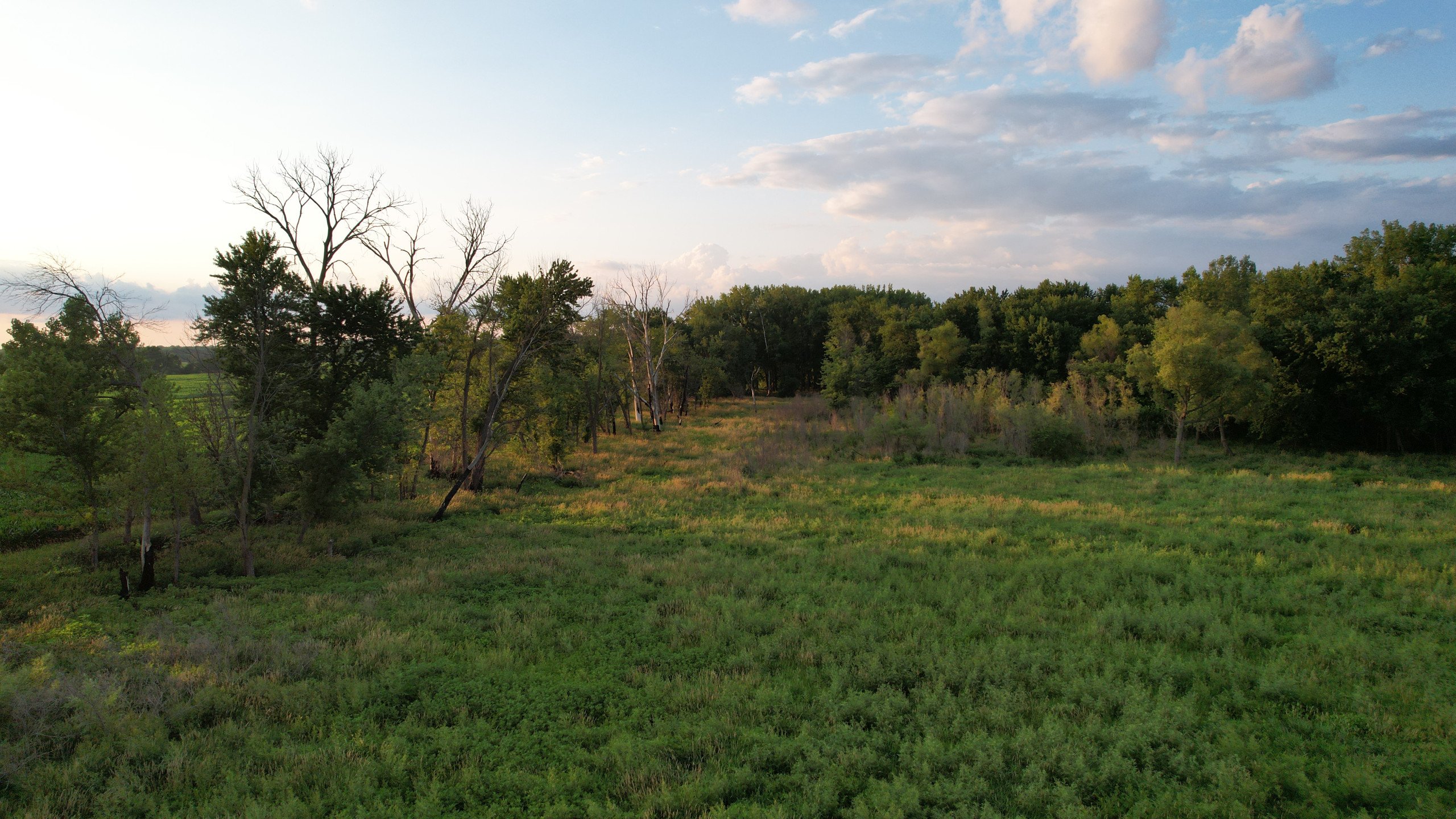 land-polk-county-iowa-57-acres-listing-number-16983-DJI_0199-2.jpg