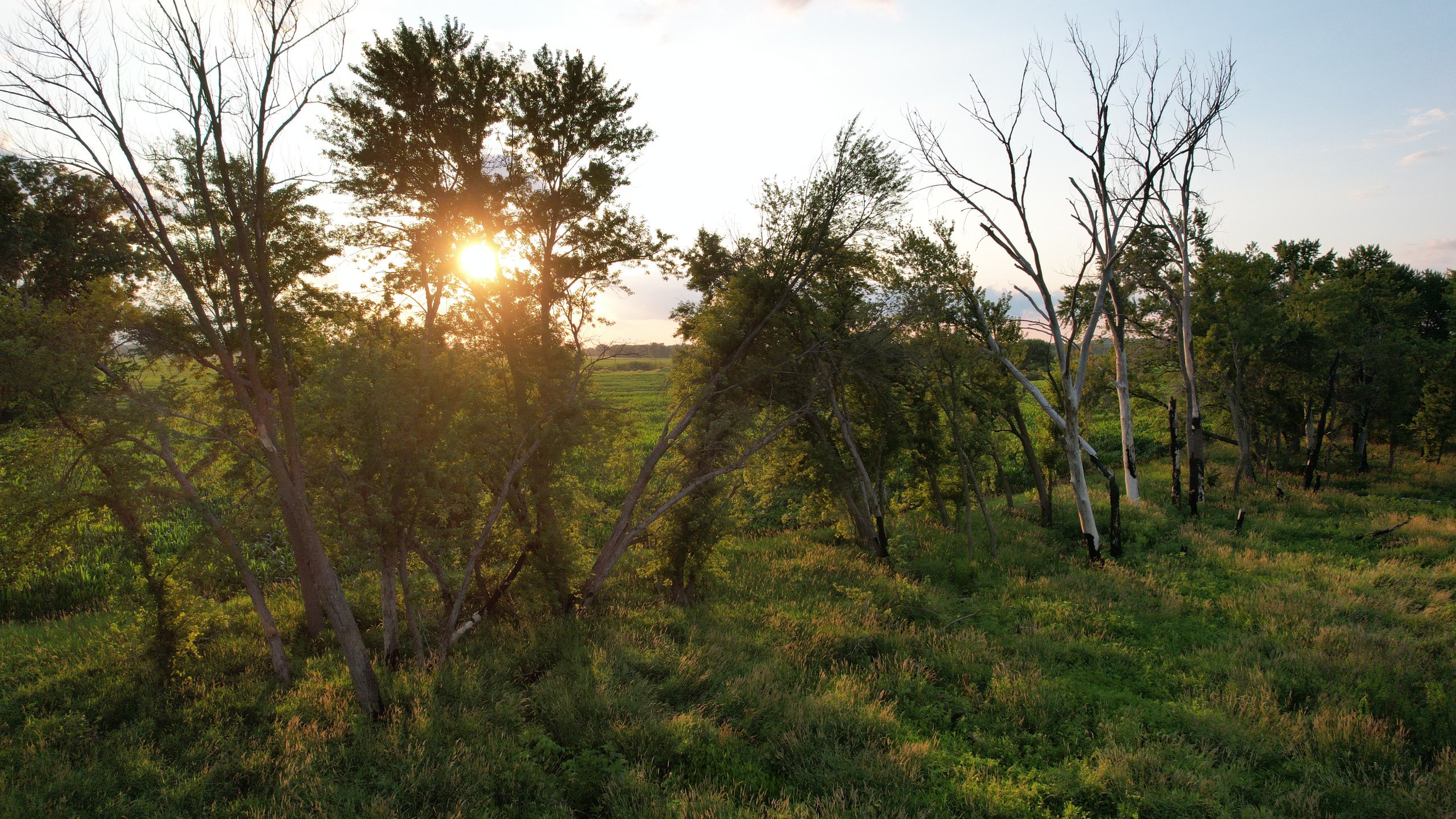 land-polk-county-iowa-57-acres-listing-number-16983-DJI_0201-3.jpg