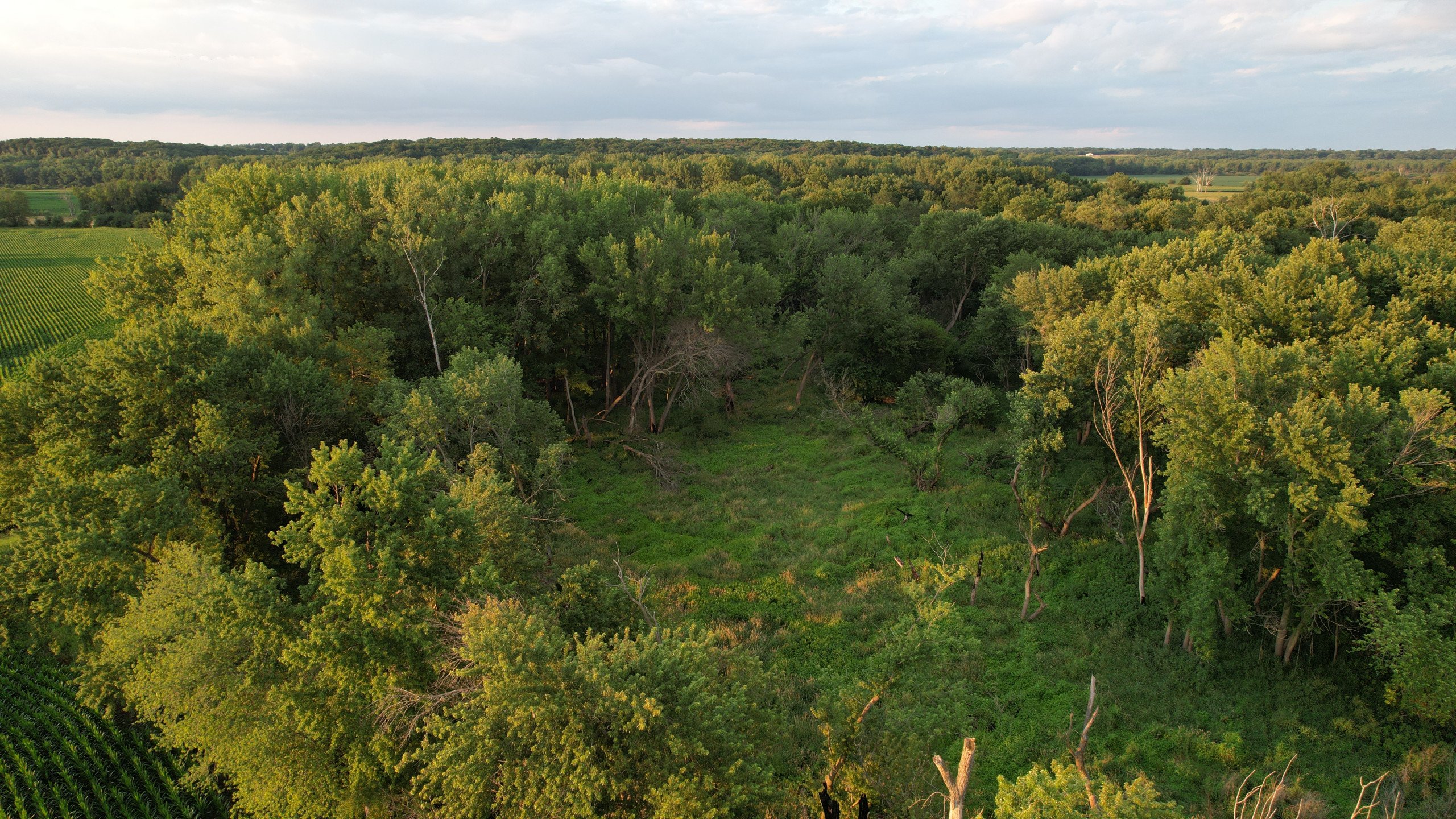 land-polk-county-iowa-57-acres-listing-number-16983-DJI_0203-4.jpg