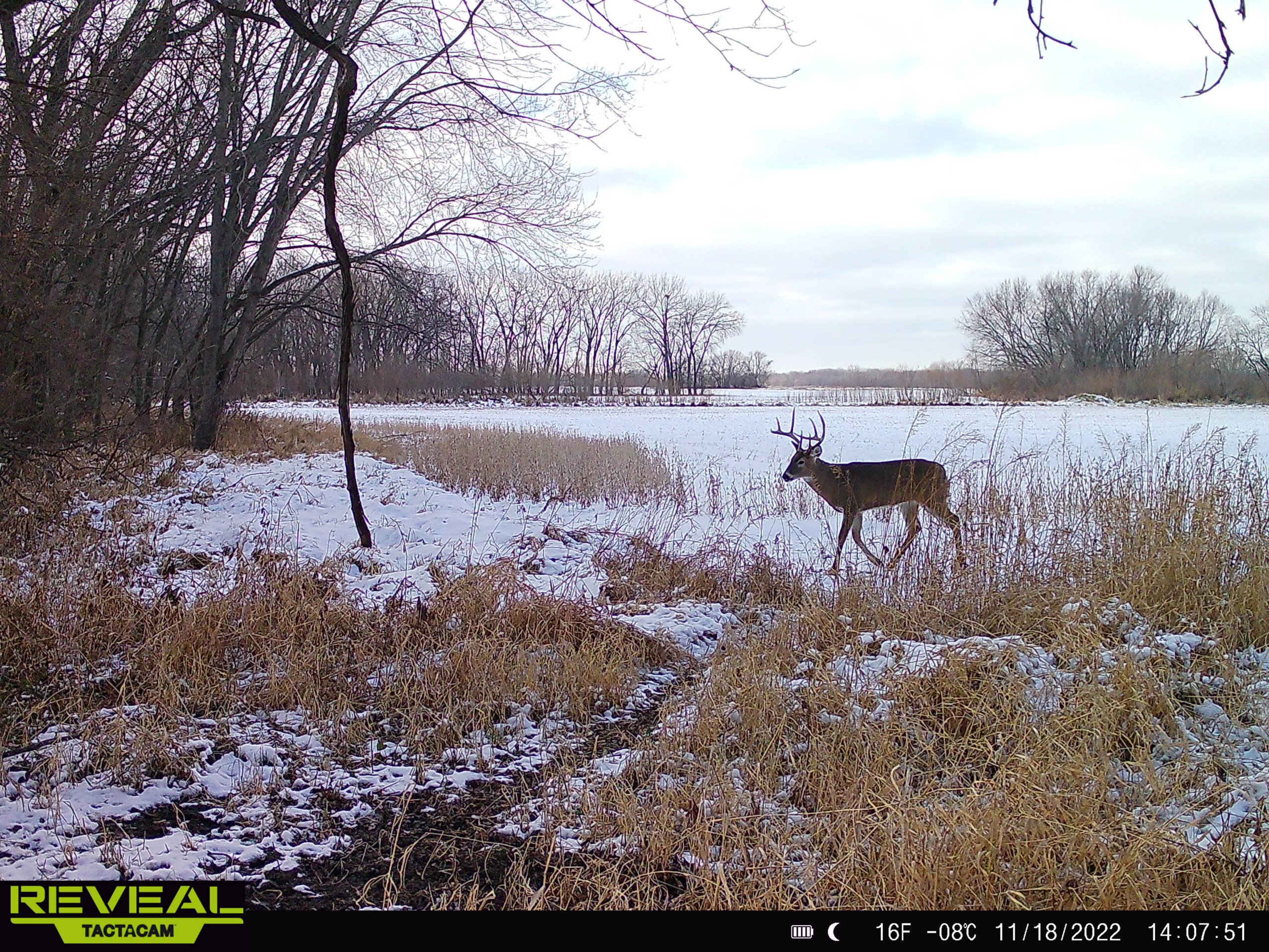 land-polk-county-iowa-57-acres-listing-number-16983-SYFW1408-2.jpg