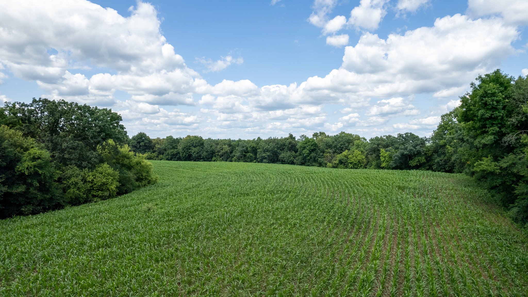 land-dane-county-wisconsin-80-acres-listing-number-16991-DJI_0050-1.jpg