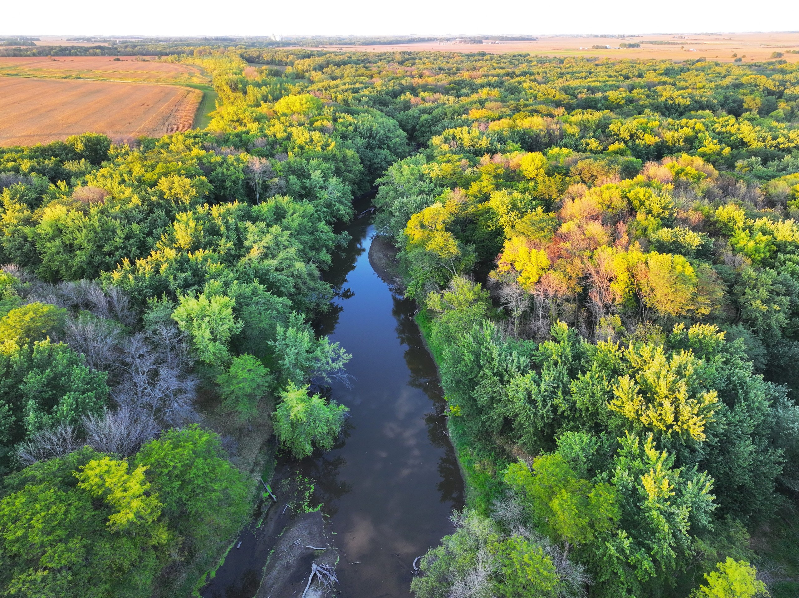 land-wright-county-iowa-361-acres-listing-number-16995-DJI_20230917191635_0090_D-1-4.jpg