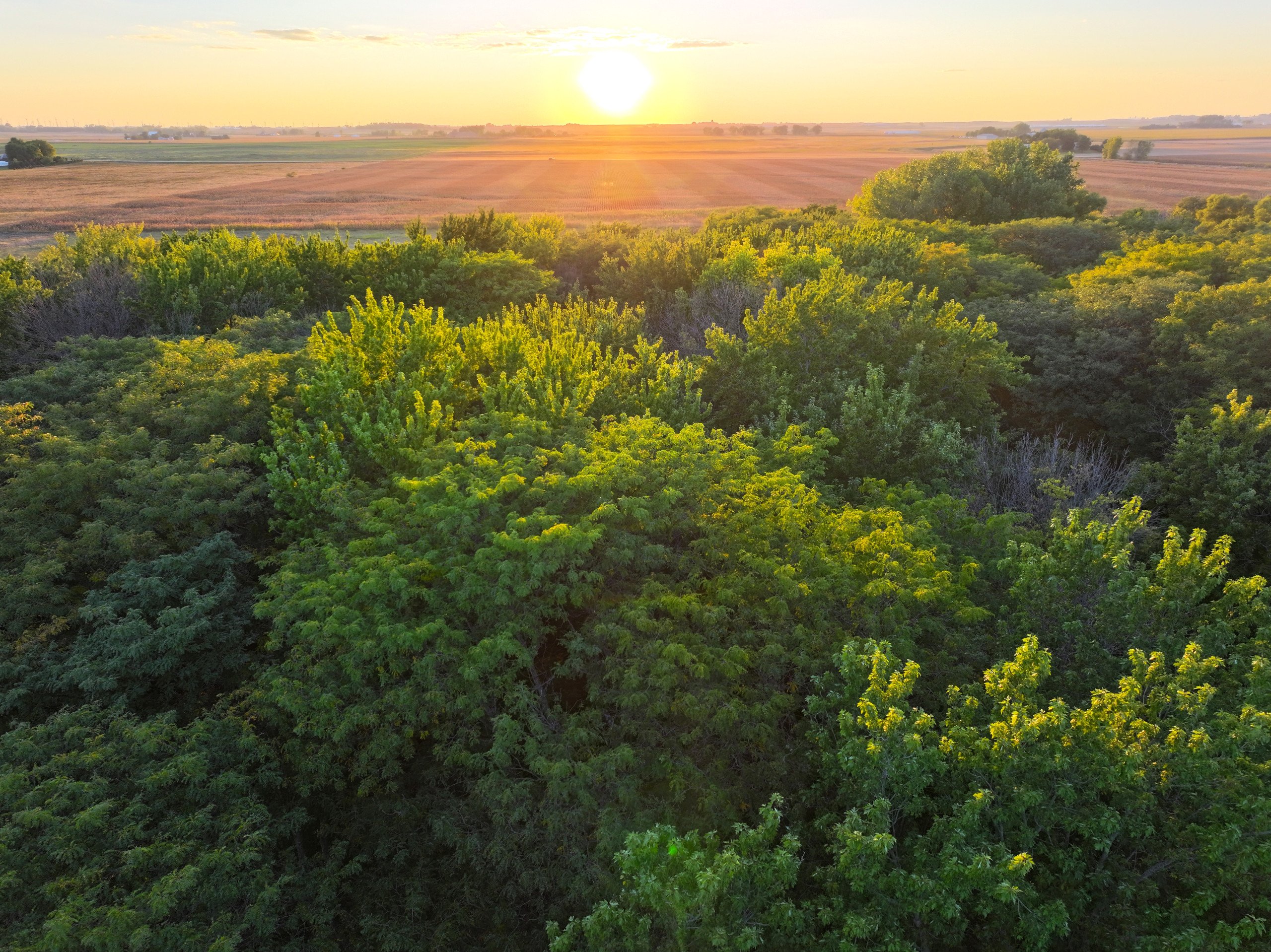 land-wright-county-iowa-361-acres-listing-number-16995-DJI_20230917191704_0095_D-1-1.jpg