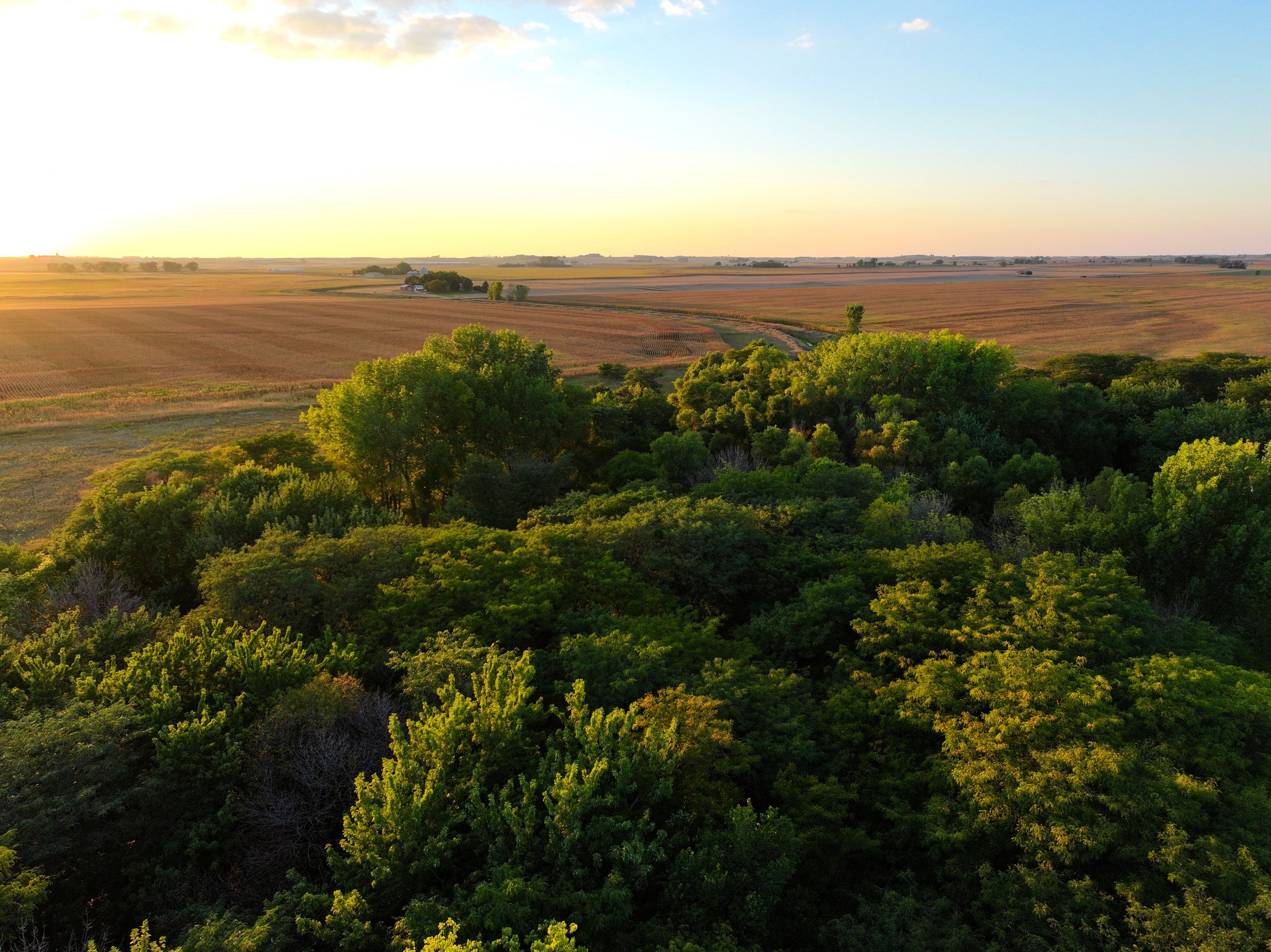 land-wright-county-iowa-361-acres-listing-number-16995-DJI_20230917191730_0101_D-1-0.jpg