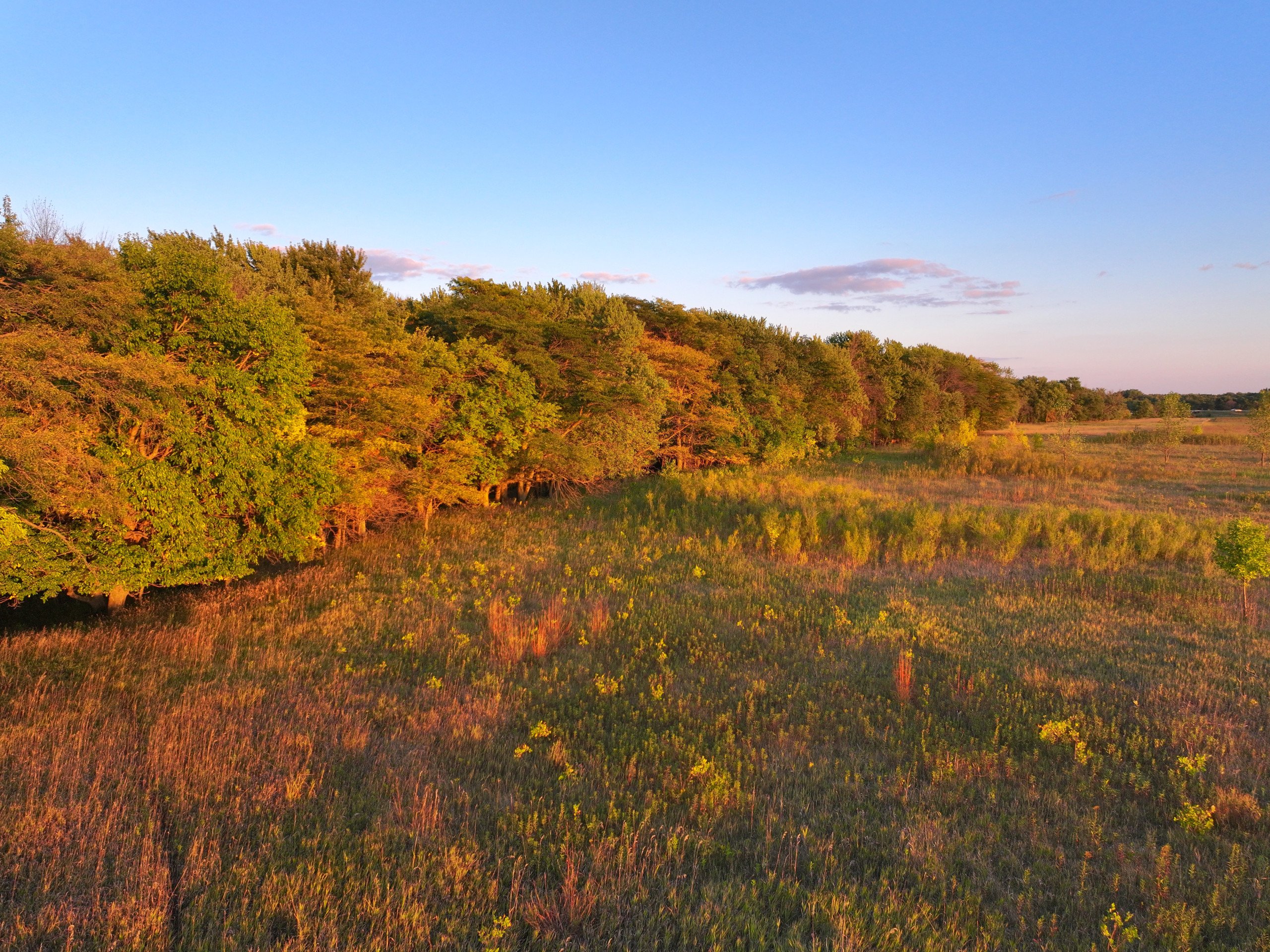 land-wright-county-iowa-361-acres-listing-number-16995-DJI_20230917191814_0110_D-1-4.jpg